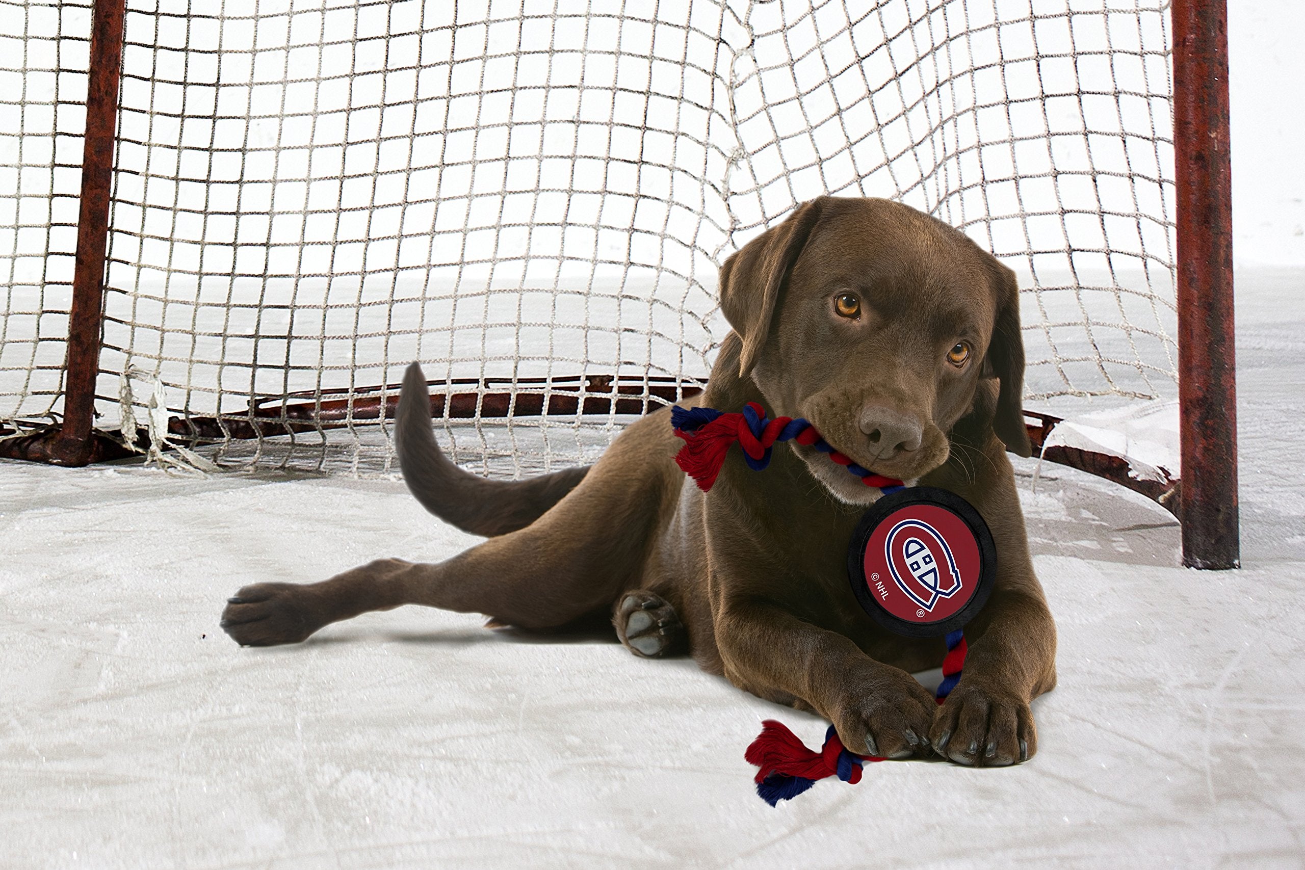 Pets First Dog Rubber Toy with Heavy-Duty Rope Tug. NHL Montreal Canadiens Puck Toy for Dogs & Cats. Play Hockey with Your Pet!