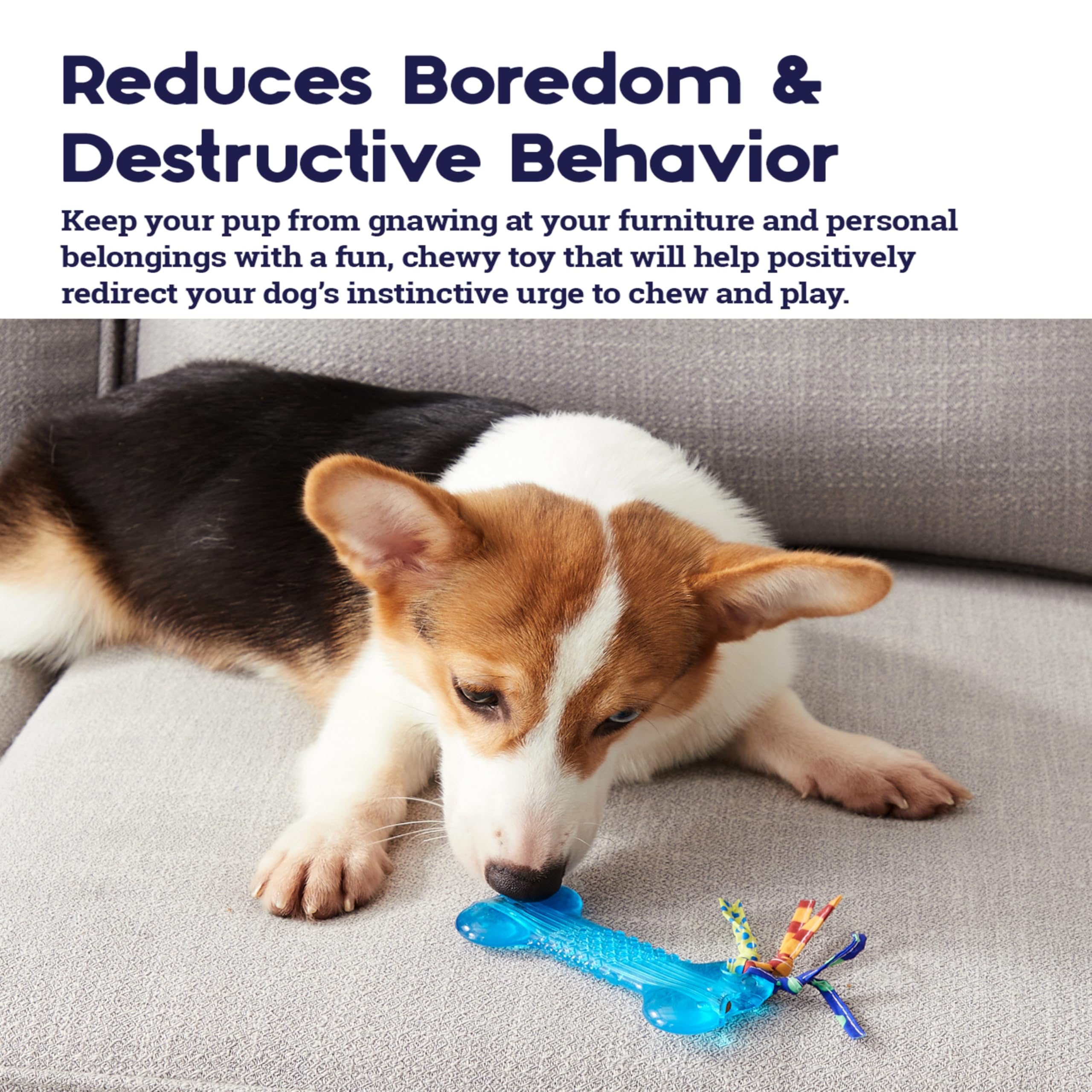 Petstages Orka Mini Bone Royal Blue Dog Chew Toy