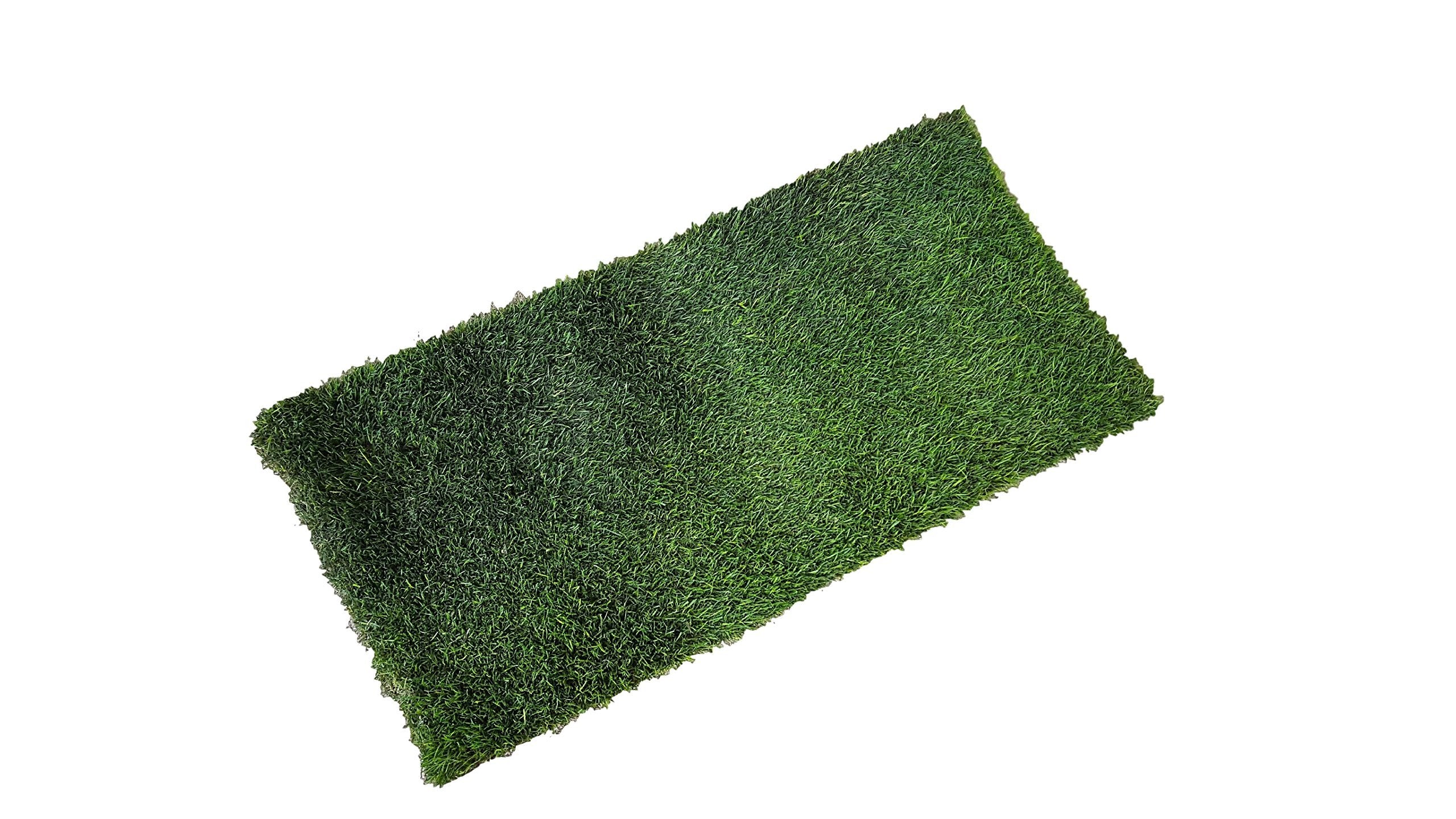 Fresh Patch Real Grass Patch for Dogs & Cats, XL Hydroponic Grass, Green, 24"x48", Disposable Indoor/Outdoor Pee Pads
