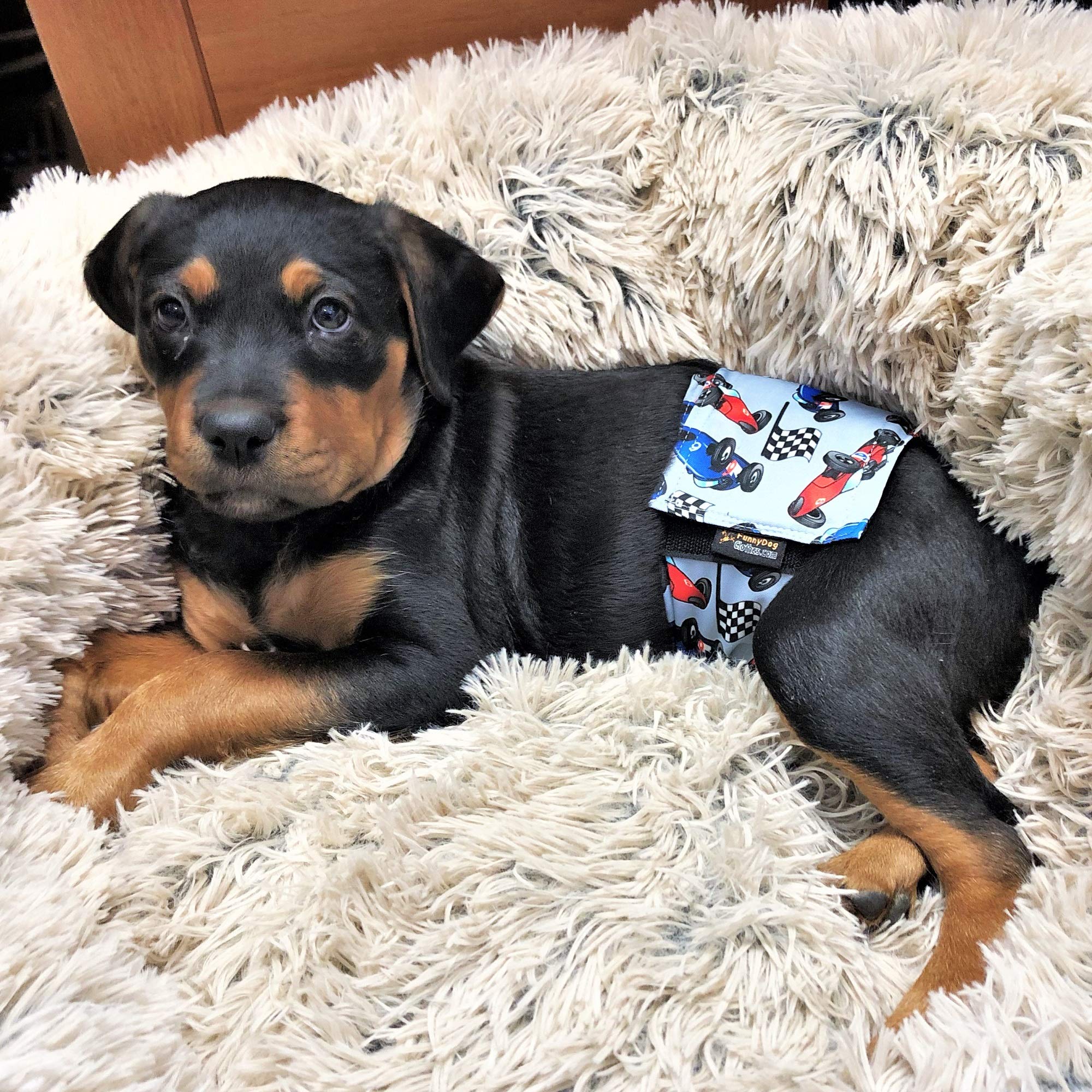 Pack of 6 Male Dog Diapers 4 - Layers of Absorbent Pads Waterproof Leak Proof Belly Band Wrap Washable (M: Waist 12 - 16, Pack o