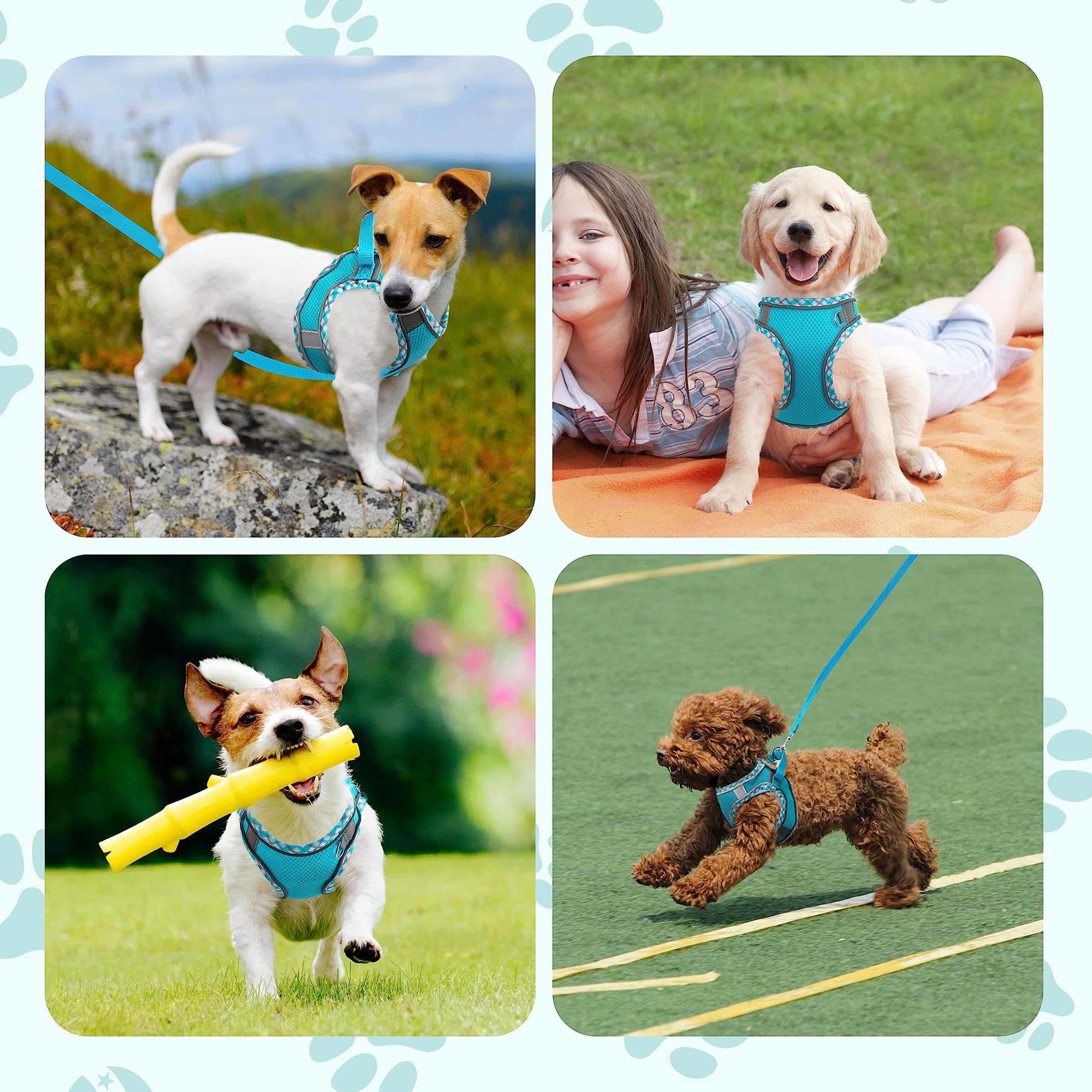 Blueberry Small/Medium Dog Harness and Leash Set - No Pull, Reflective, Breathable Mesh, Easy Walk, Outdoor Hiking, Training (Bl