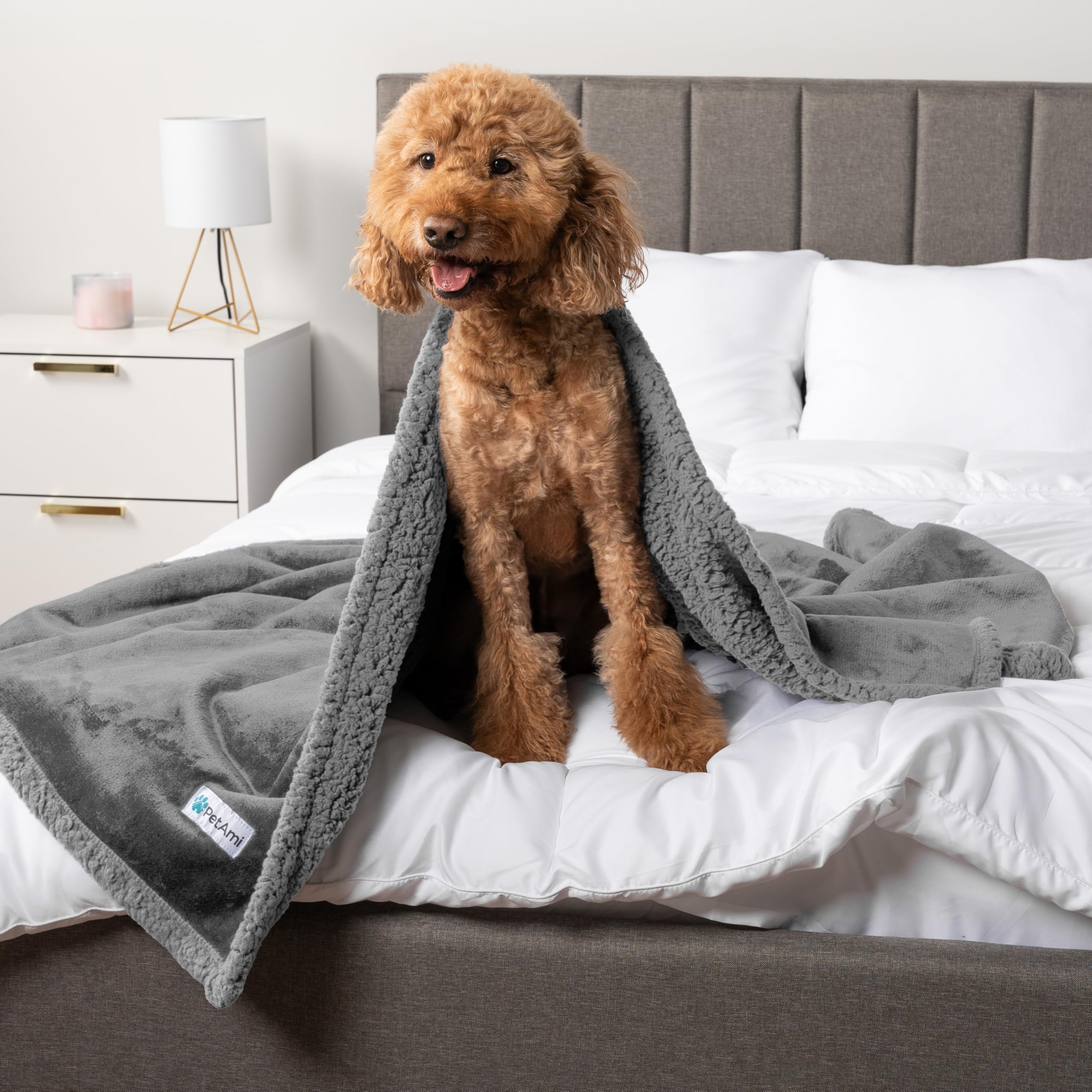 Petami Waterproof Dog Blanket For Bed, Xl Dog Pet Blanket Couch Cover Protection, Sherpa Fleece Leakproof Bed Blanket For Crate Kennel Sofa Furniture Protector, Reversible Soft Plush 80X60 Light Gray