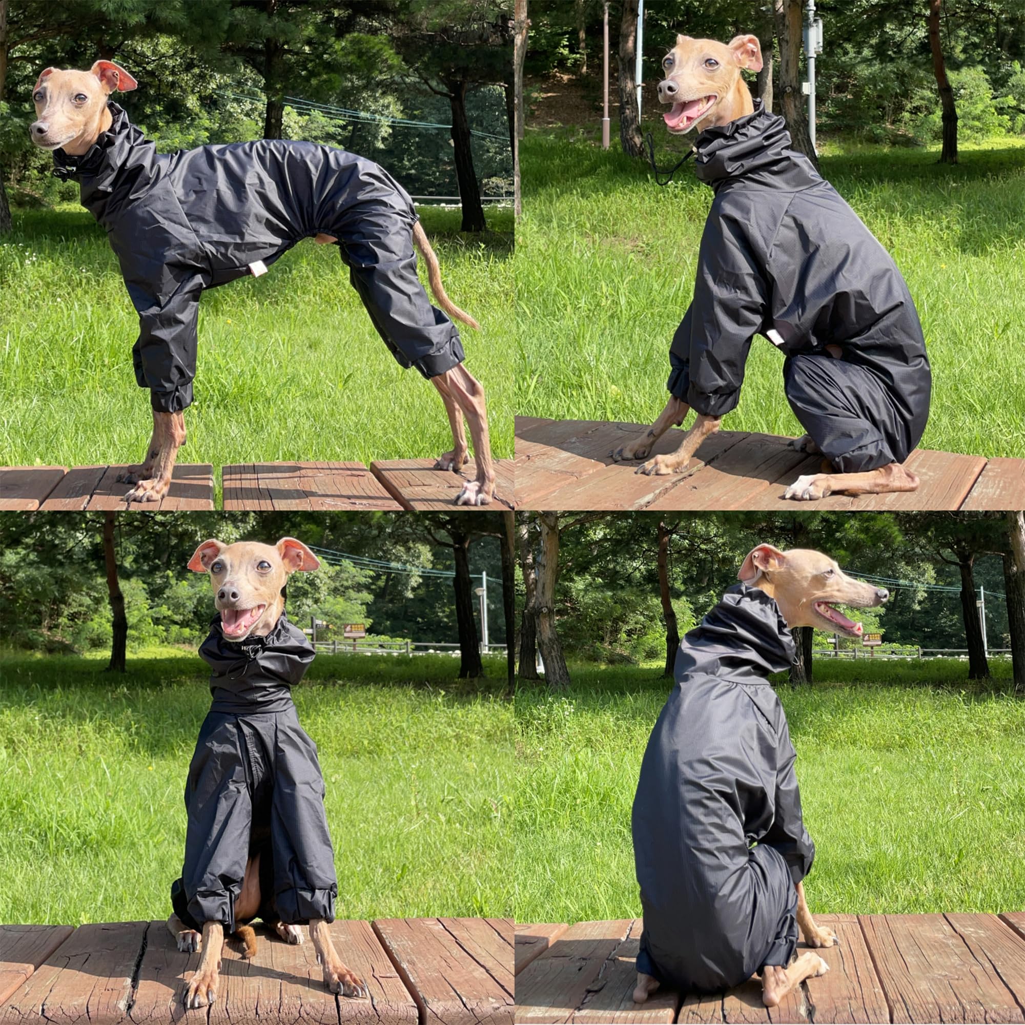 D Doggy Star Italian Greyhound Raincoat Waterproof Jacket Windbreaker Clothes Whippet For Dog (Xl,Raincoat Black)