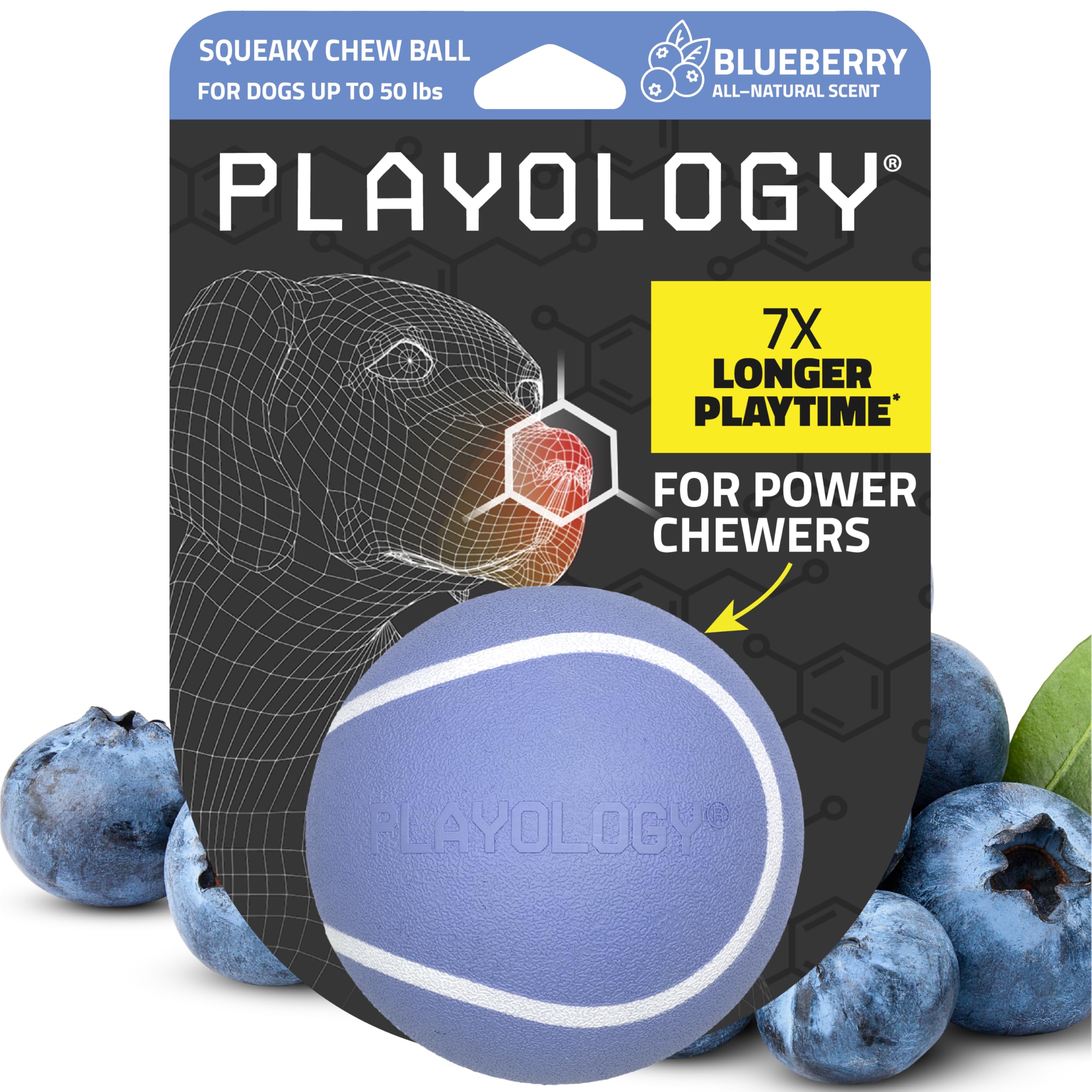 Playology Dog Toys | Squeaky Chew Ball - Bouncy Durable Floating Fetch Ball for Dogs | Medium Blueberry Scented Toy - Easy to Cl