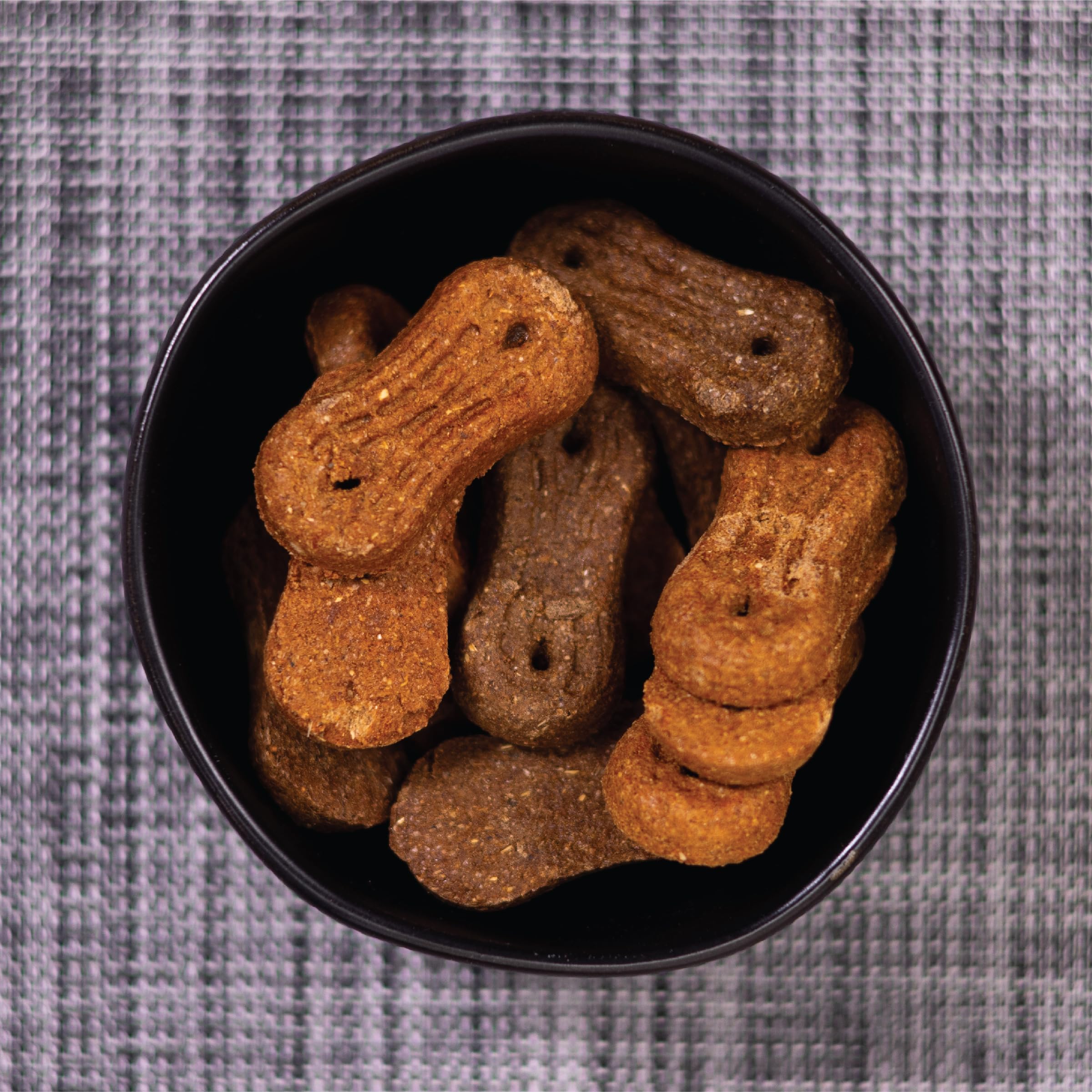 Pet Life Biscuits with Peanut Butter and Molasses Crunchy Dog Treats, 14.5 oz