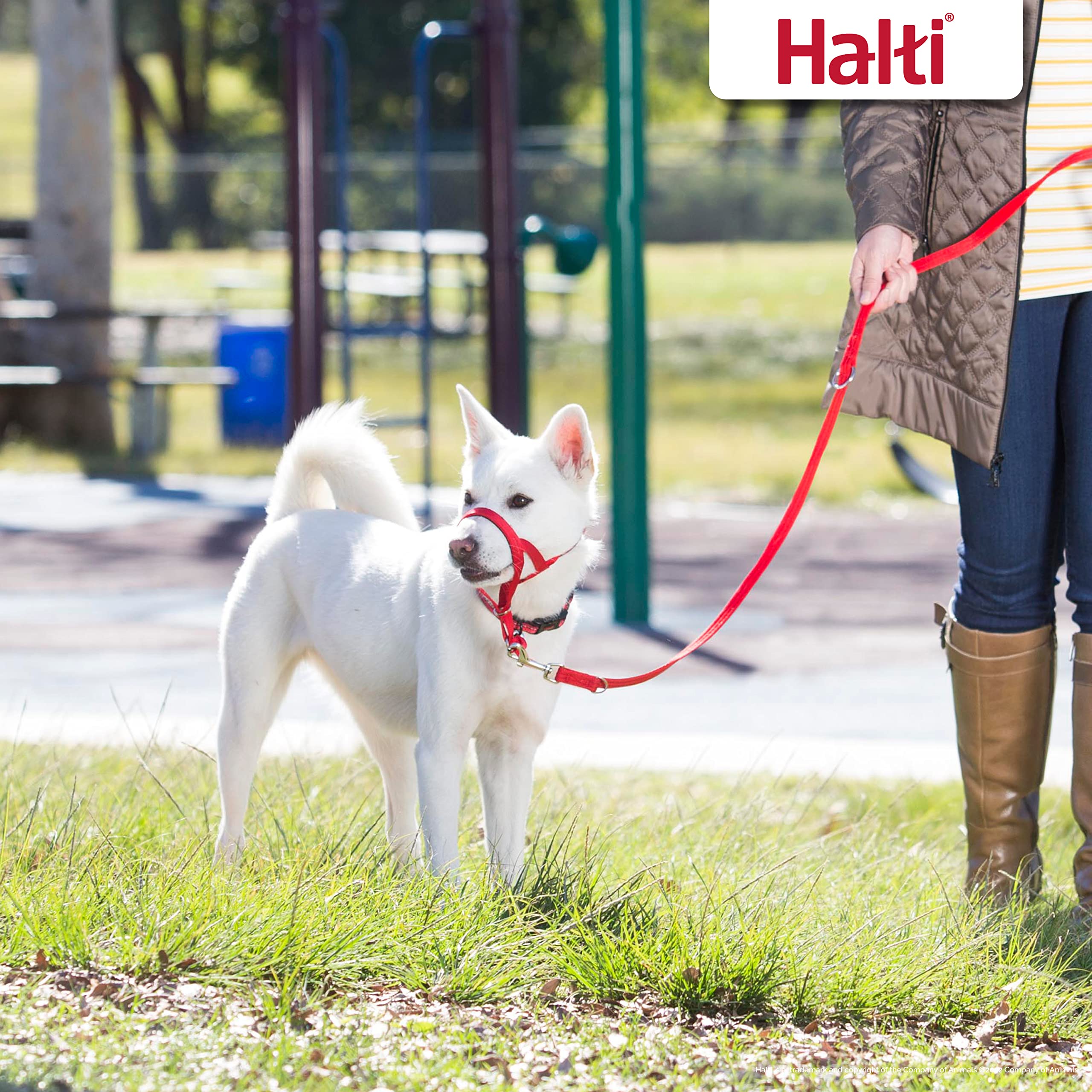 Halti Training Leash - Multifunctional Double-Ended Dog Leash, Ideal For Anti-Pulling Dog Training. Easy To Use, Lightweight, Soft & Durable. Suitable For Puppies And Small Dogs (Size Small, Red)