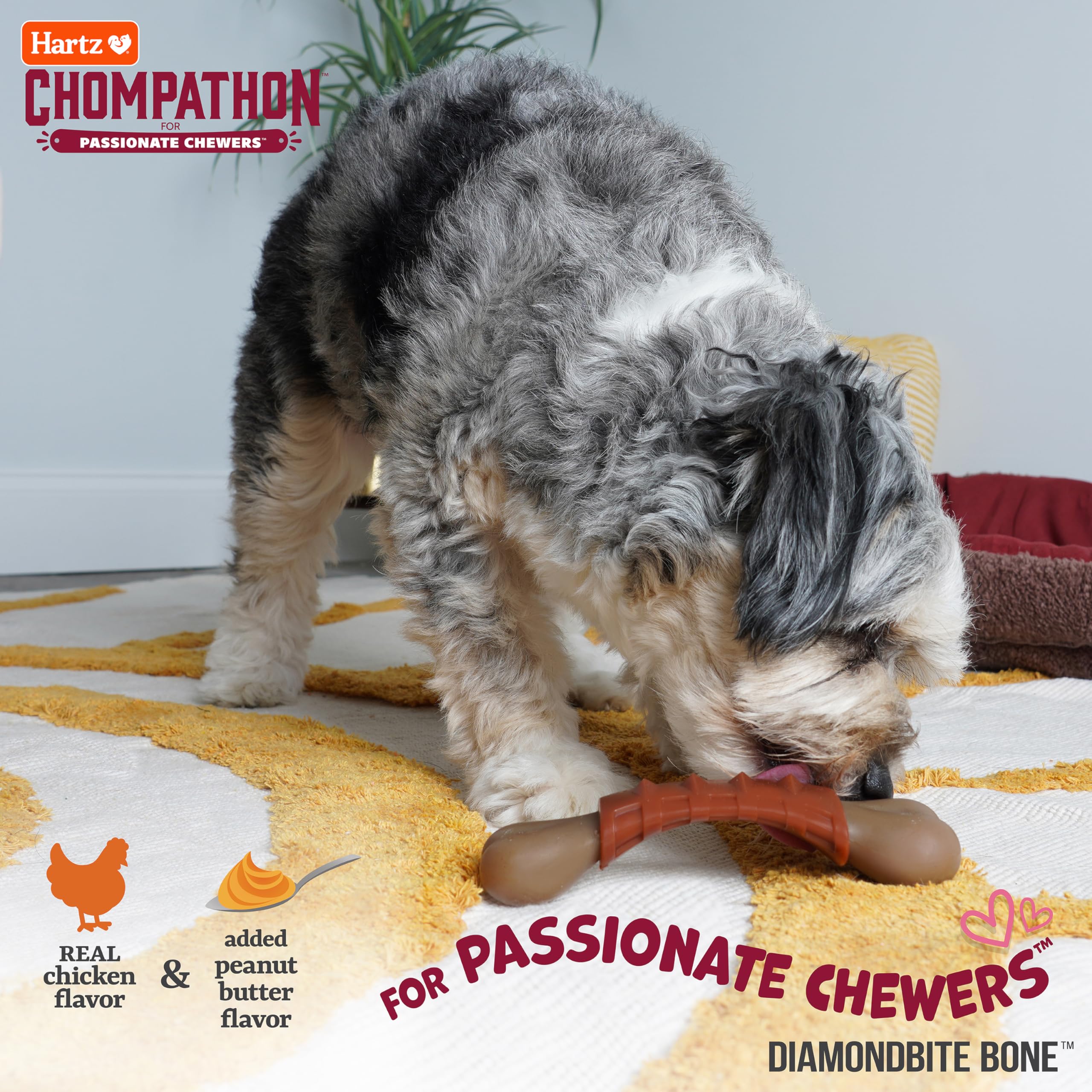 Hartz Chompathon Diamondbite Bone Dog Chew Toy for Aggressive Chewers, Double Layered Flavored with Chicken & Peanut Butter