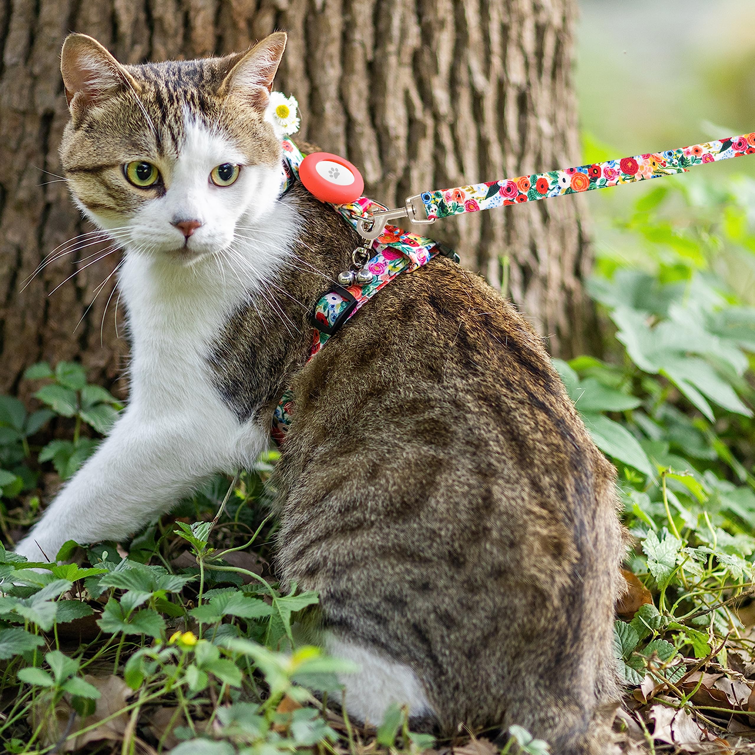 Cat Harness And Leash Escape Proof For Walking Travel Outdoor - Cute Floral Nylon Adjustable Cute Cat Harness Leash Set With Air