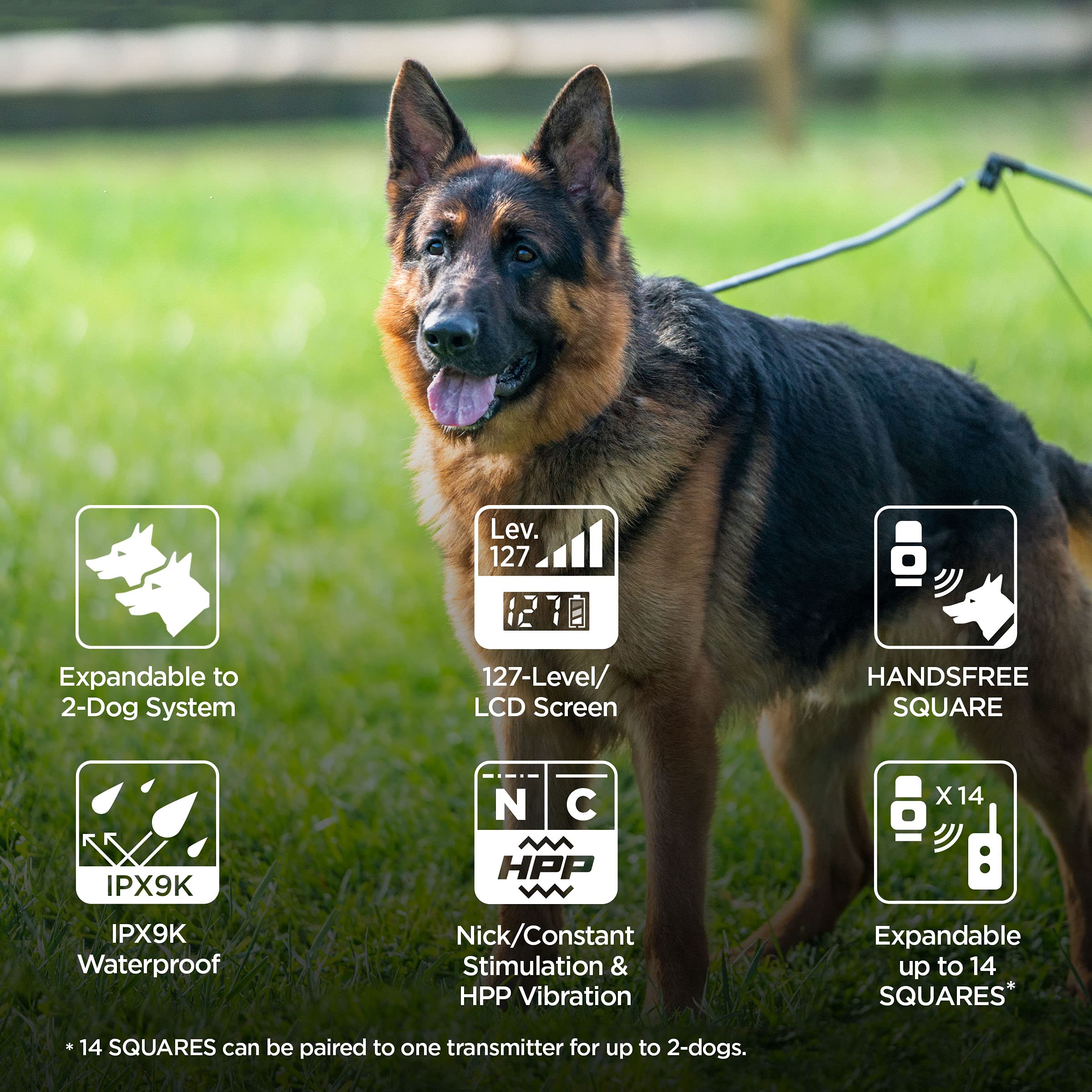 Dogtra ARC HANDSFREE Plus 2-Dog Remote Training E-Collar, Rechargeable, Waterproof, 3/4-Mile Range, Clear, Ergonomic Design