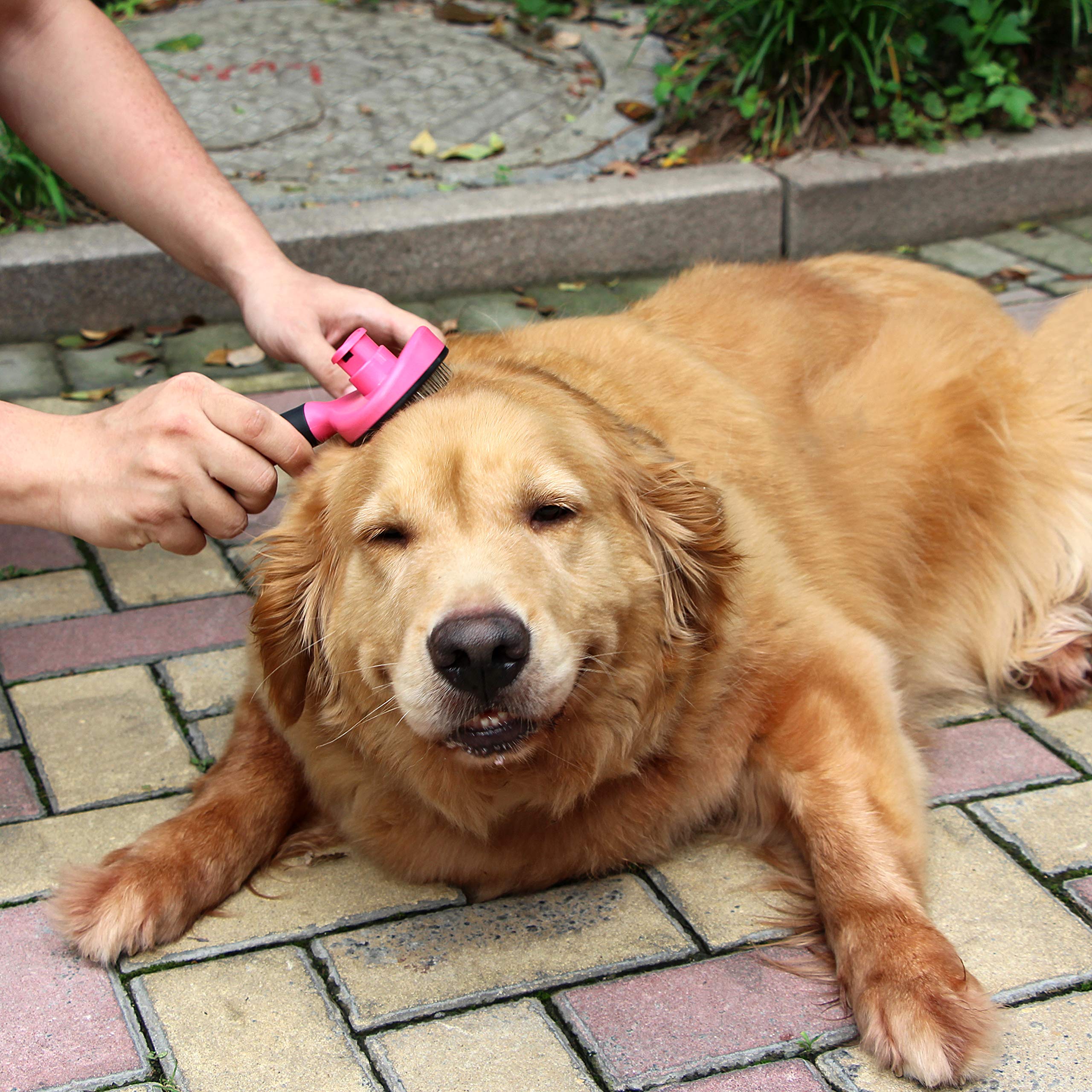 Uhomy Pets Self - Cleaning Slicker Brush Dog Comb Professional Pet Grooming Brush For Small, Medium & Large Dogs And Cats Regula