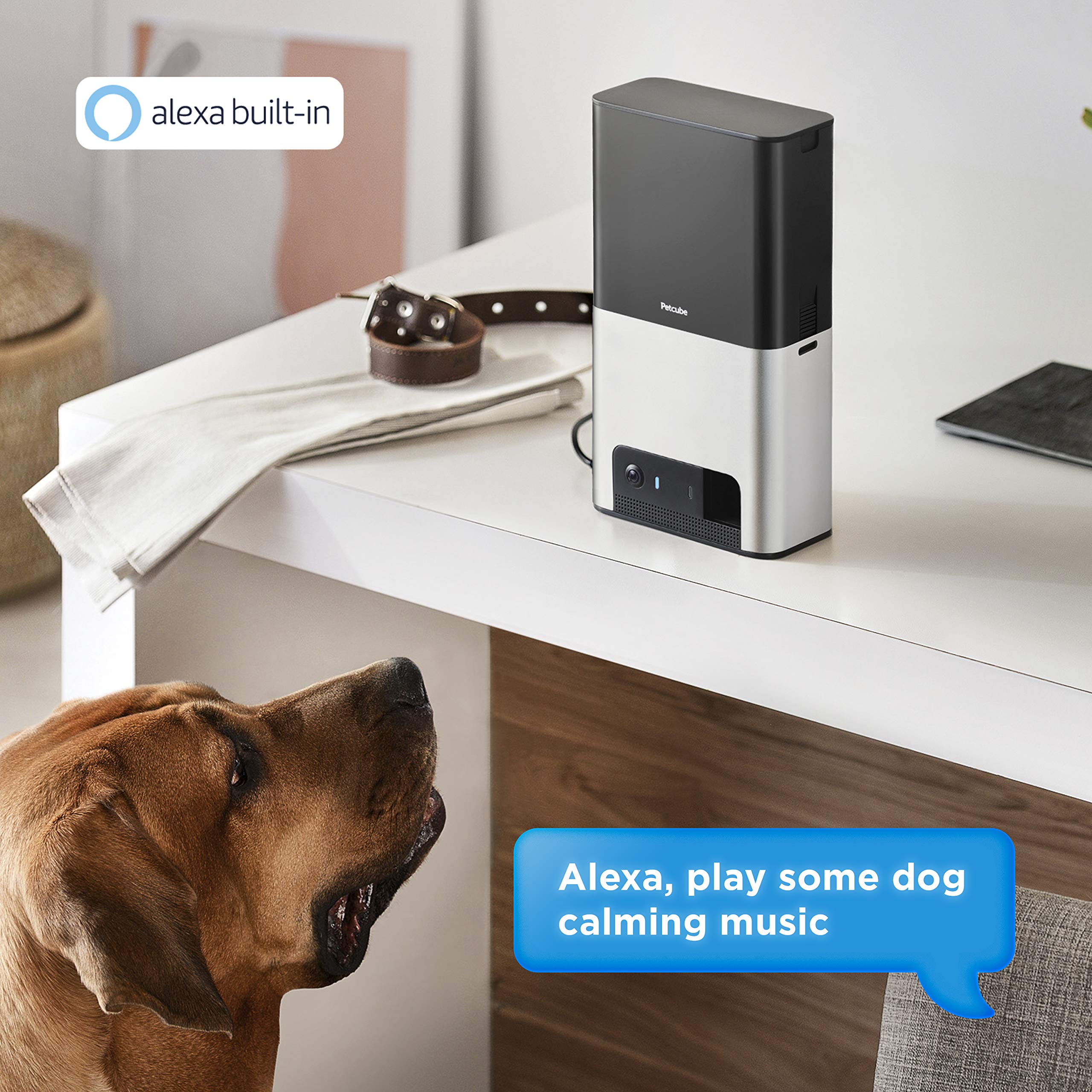Petcube Bites 2 Wi-Fi Pet Camera With Treat Dispenser & Alexa Built-In, For Dogs And Cats. 1080P Hd Video, 160 Full-Room View, 2