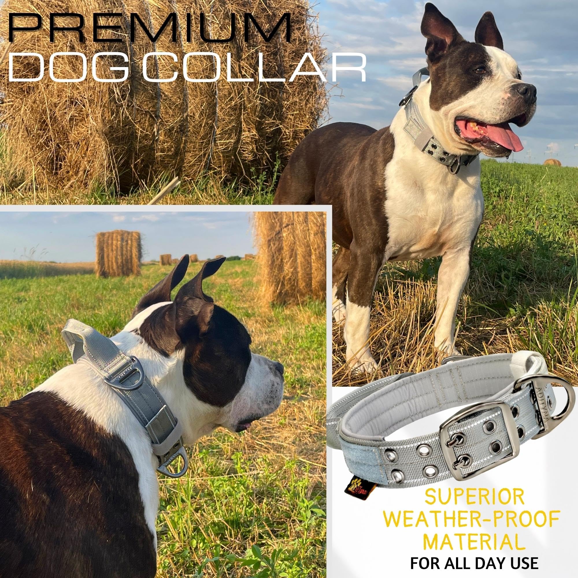 Adityna Heavy Duty Dog Collar For Extra-Large Dogs - Reflective Gray Collar With Handle For Training, And Walking - Wide, Thick,