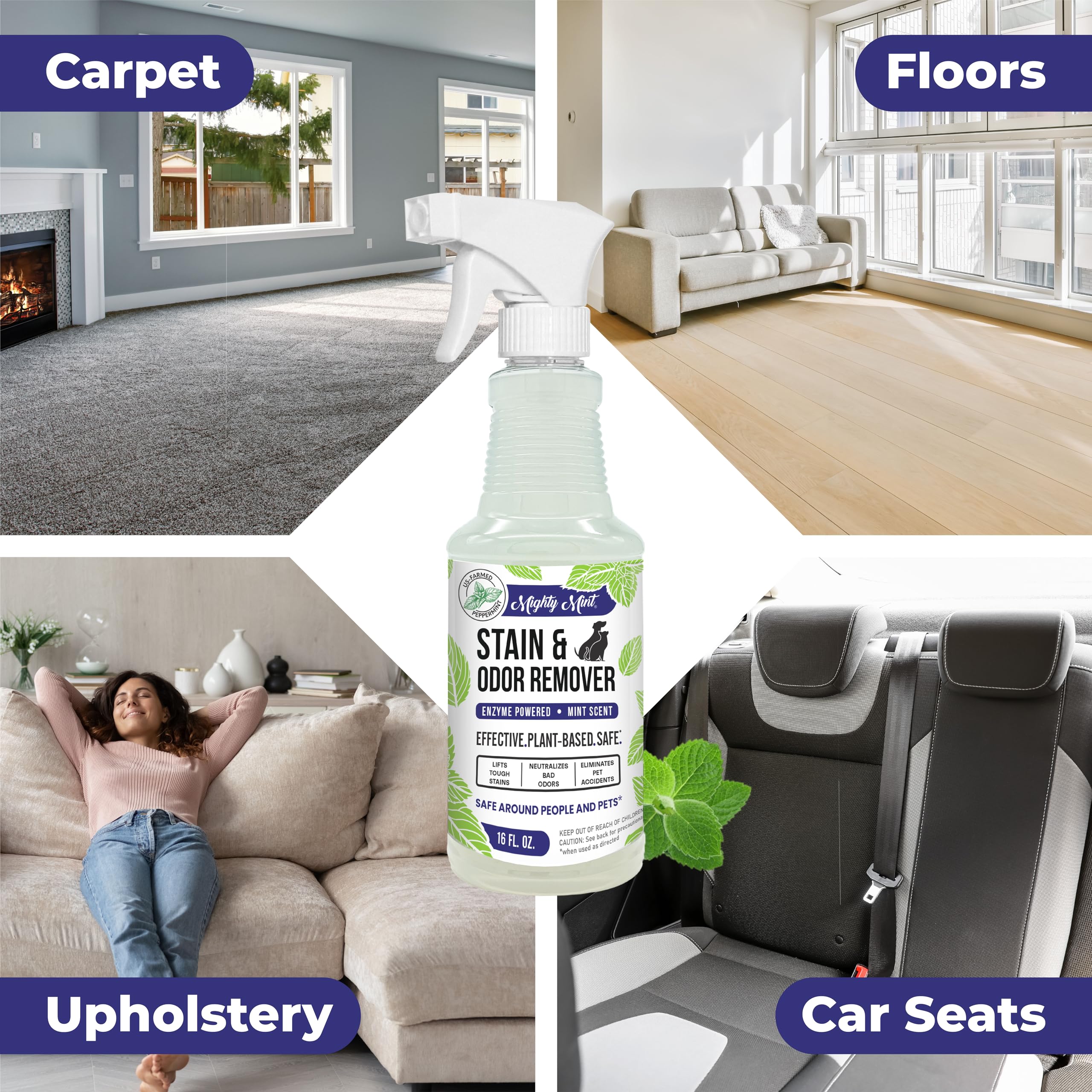 Mighty Mint Stain & Odor Remover, Natural Enzyme Spray Safely Neutralizes Odor And Stains From Dogs, Cats On Carpet, Furniture,