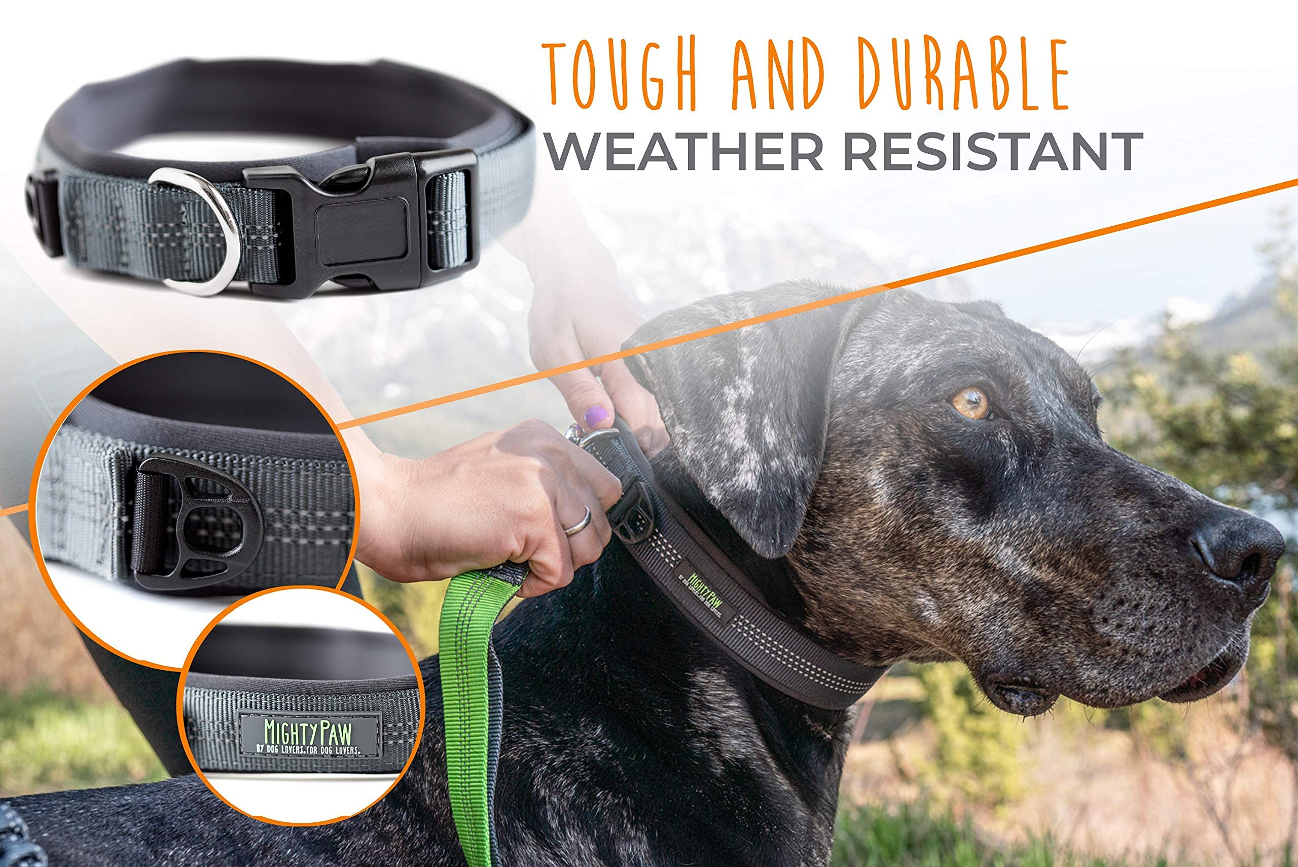 Mighty Paw Dog Collar - Neoprene Padded - Reflective For Running - Extra Comfort For Active Dogs - Lined And Strong Collar - Pre