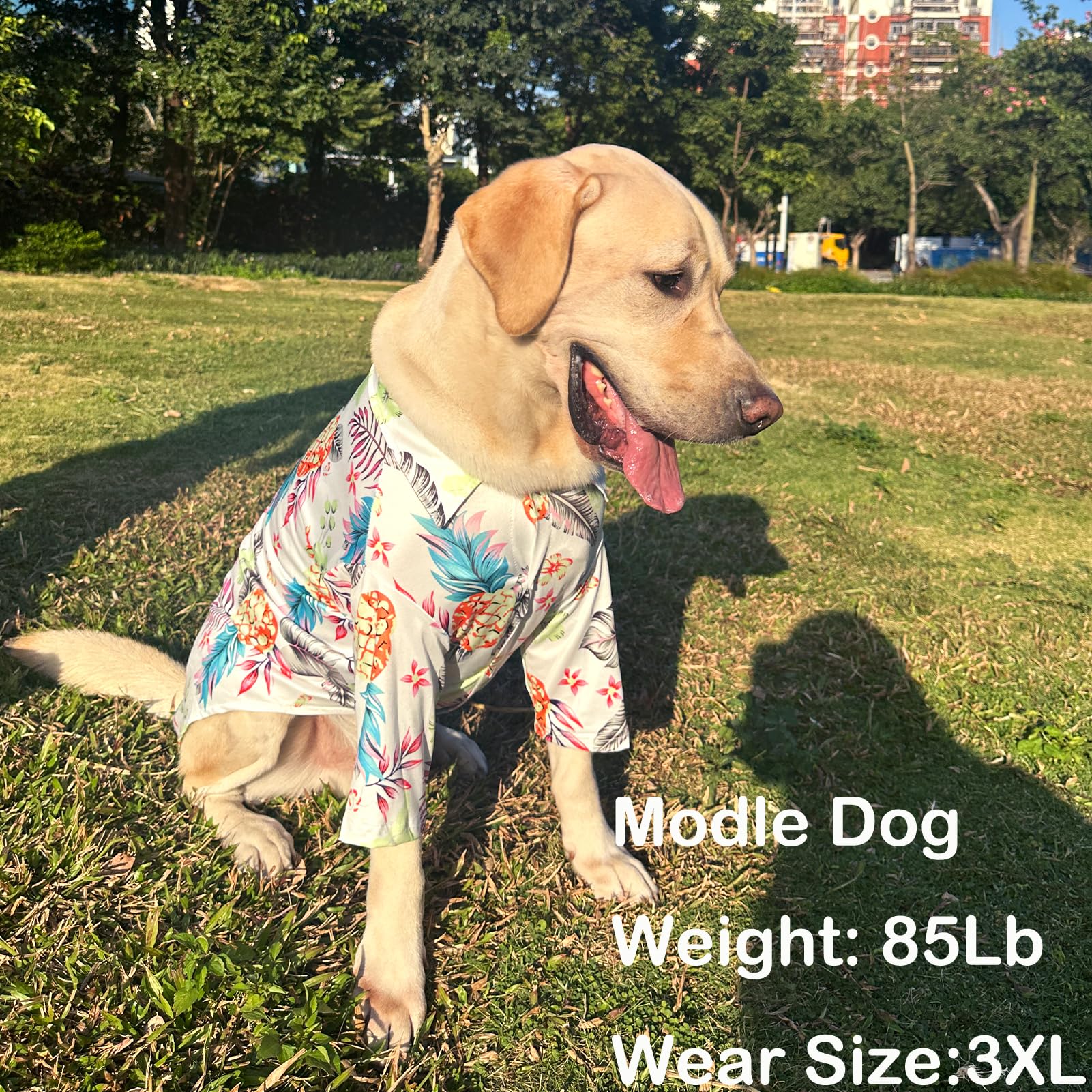 Hawaii Shirt White Fruits Prints Polo T-Shirts Breathable Cool Beach Style Summer Dog Clothes For Large Dogs Boys And Girls (3X-