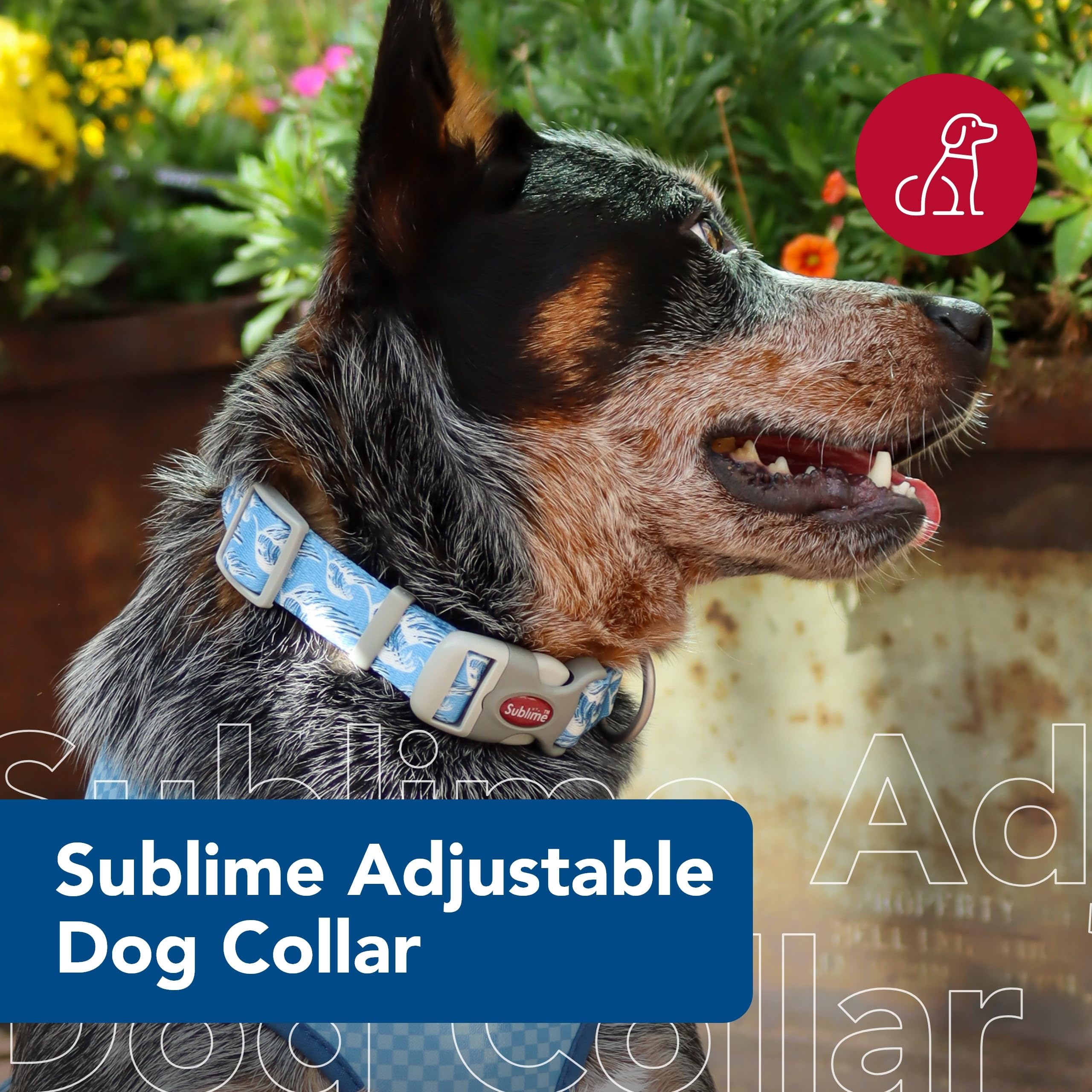 Coastal Pet Sublime Adjustable Dog Collar - Adjustable Plastic Buckle - Vibrant & Colorful Dog Collar With Fade-Resistant Patterns - Blue Waves With Blue Checkers, Large - 1 1/2' X 18'-26'