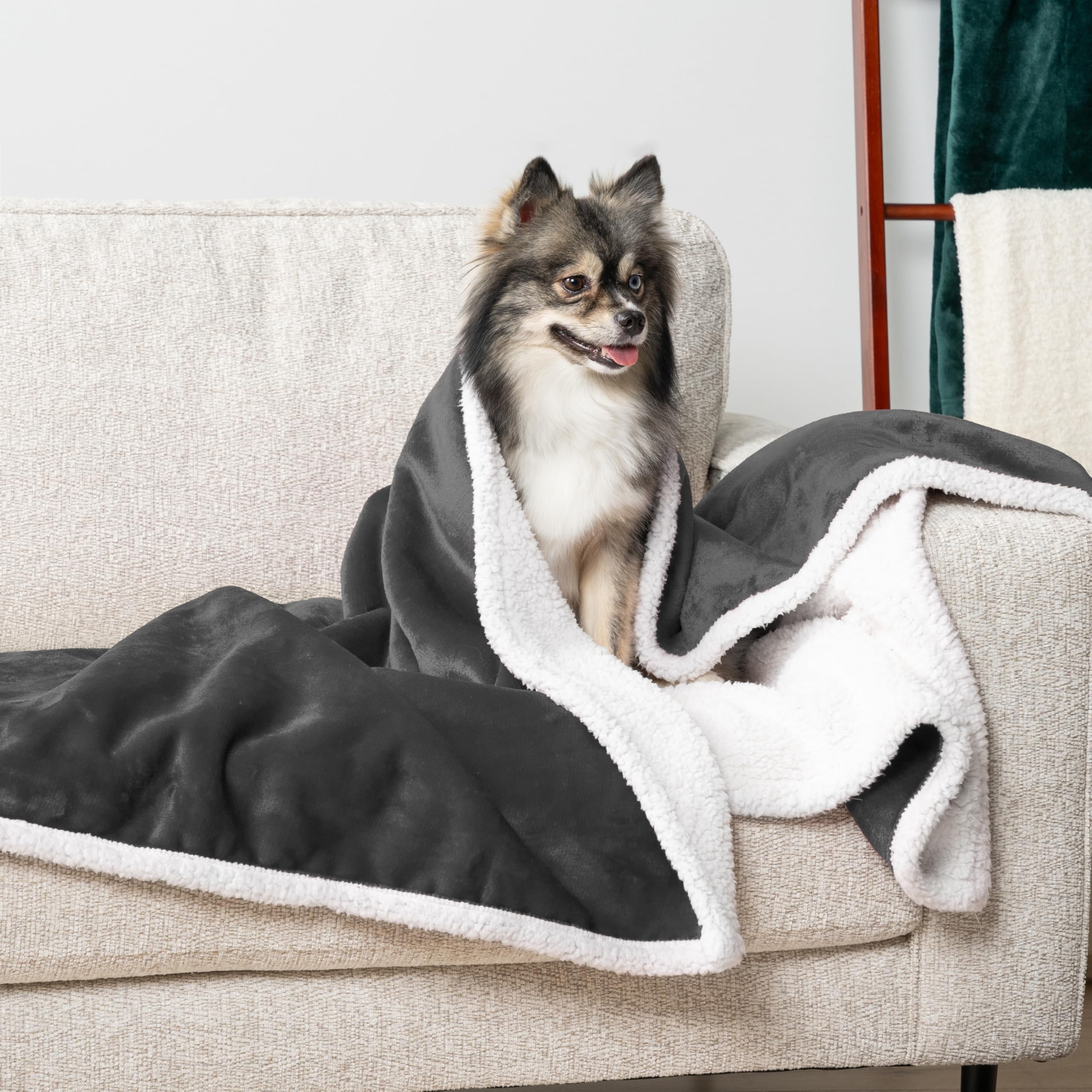 Petami Waterproof Dog & Cat Blanket - Sherpa Fleece, Washable Throw Couch & Sofa Protector, Reversible Soft 29X40 Charcoal