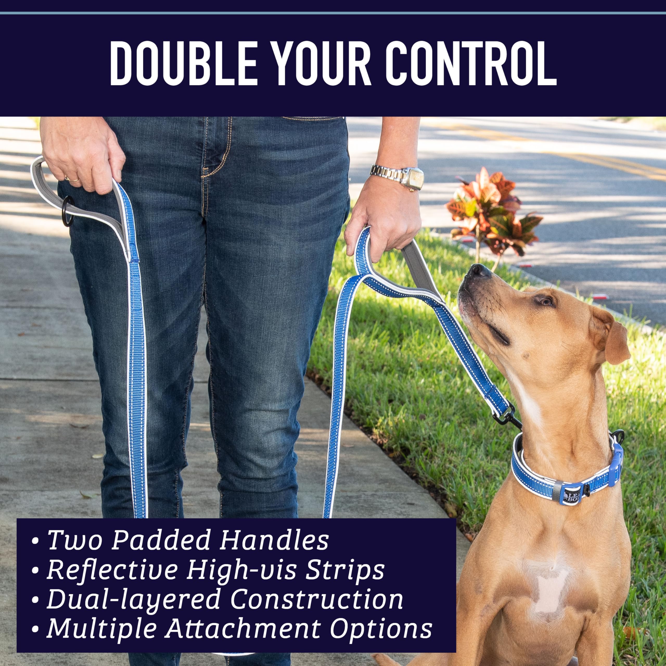 Leashboss Double Handle Dog Leash, 6 Ft Reflective Dog Leash With Two Padded Handles For Large Dogs Or Medium Dogs That Pull (Aqua)