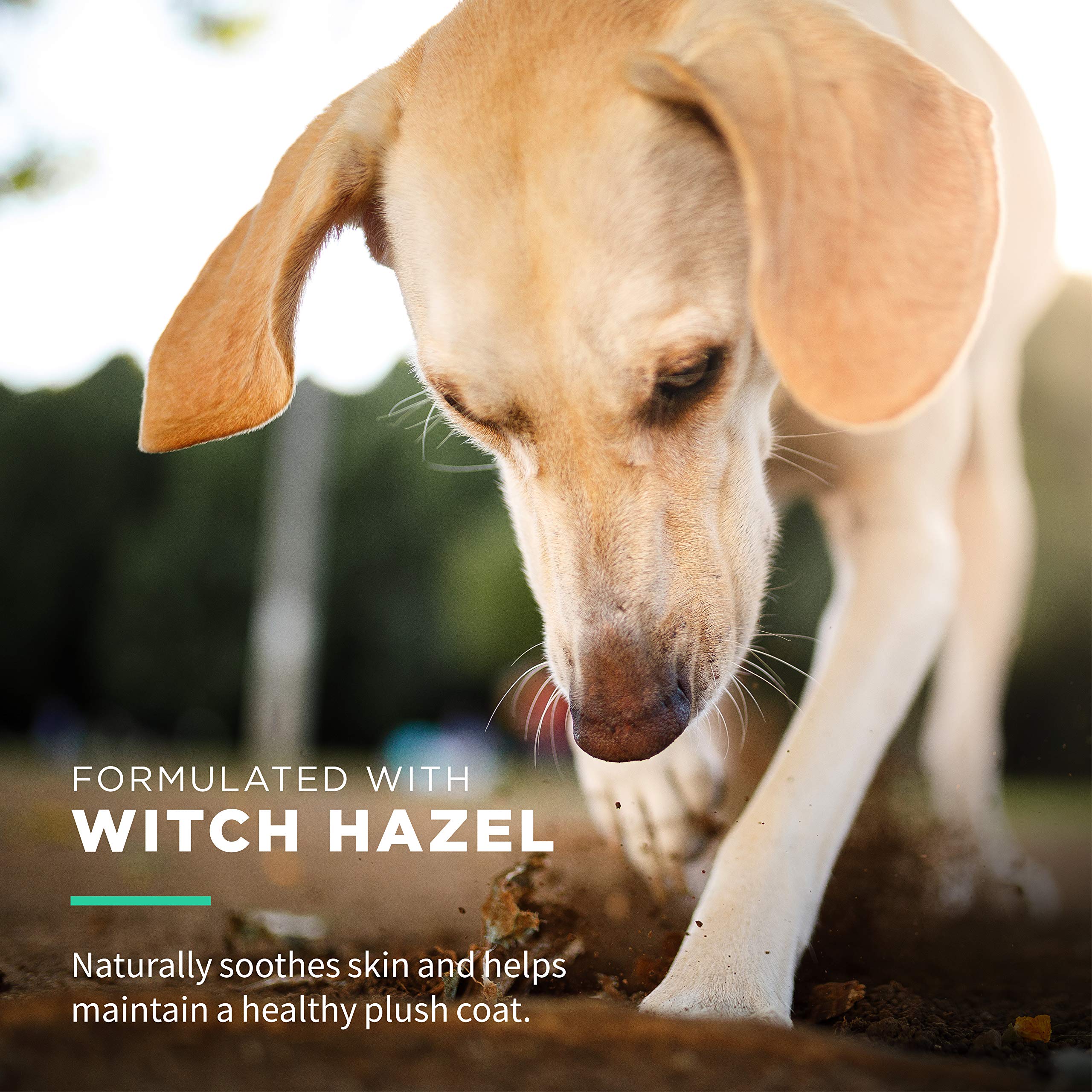 Wet Ones for Pets Extra Gentle Dog Wipes with Witch Hazel for Snout, Eye, Ear - Fragrance-Free Dog Wipes for All Dogs Wet Ones W