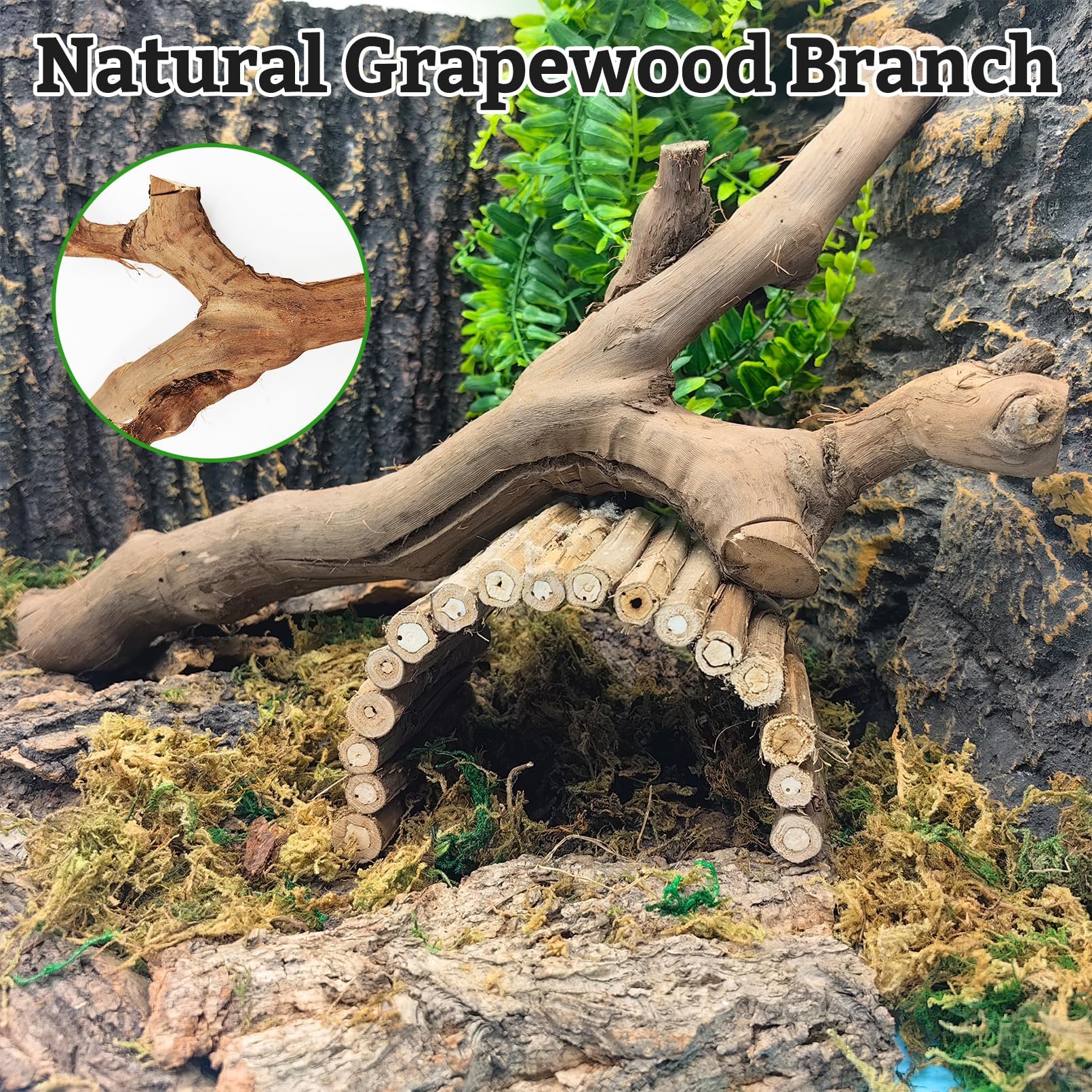 VCEPJH Snake Climbing Branch, 2Pcs Reptile Wood Natural Cork Log Tank Accessories Tree Trunk for Chameleon Bearded Dragon Gecko
