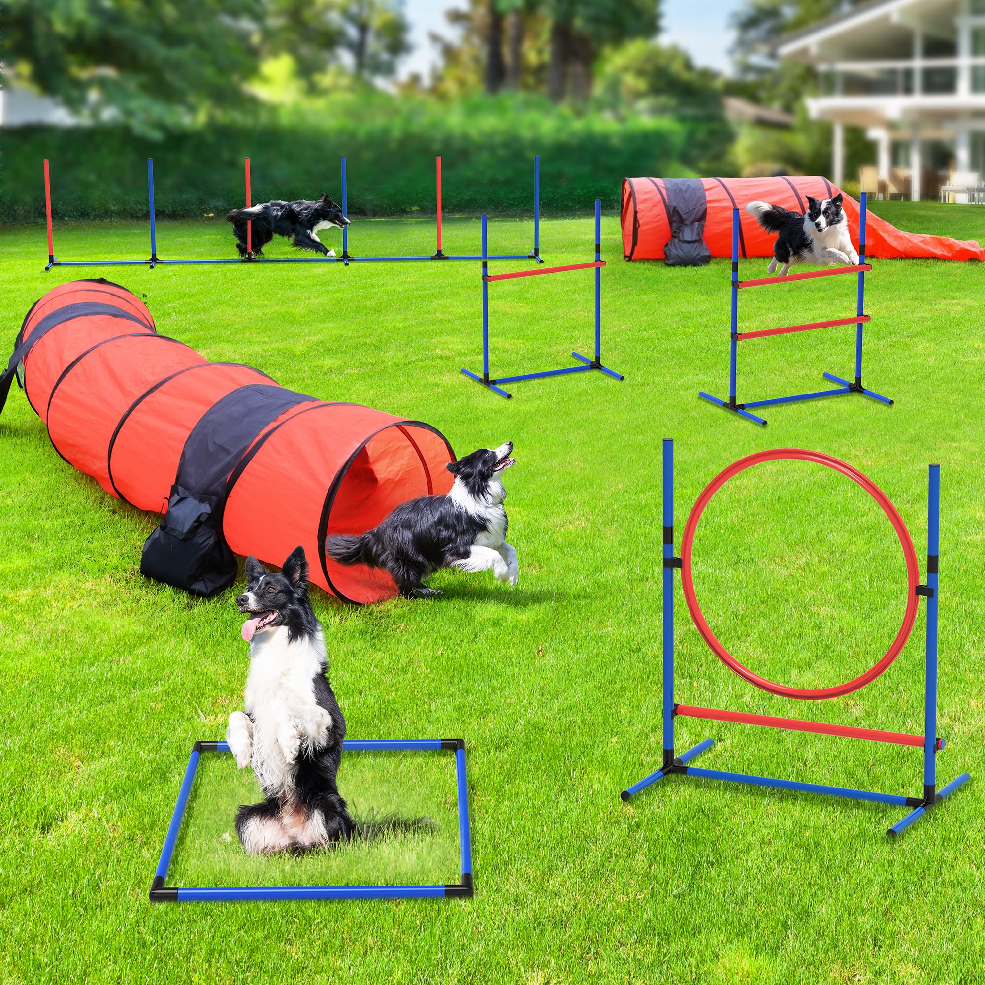 Yitahome Dog Agility Equipments, Includes Flirt Pole Toy, 3 Flying Discs, 2 Agility Tunnel, 3 Jumps, 6 Weave Poles, Pause Box,Ag
