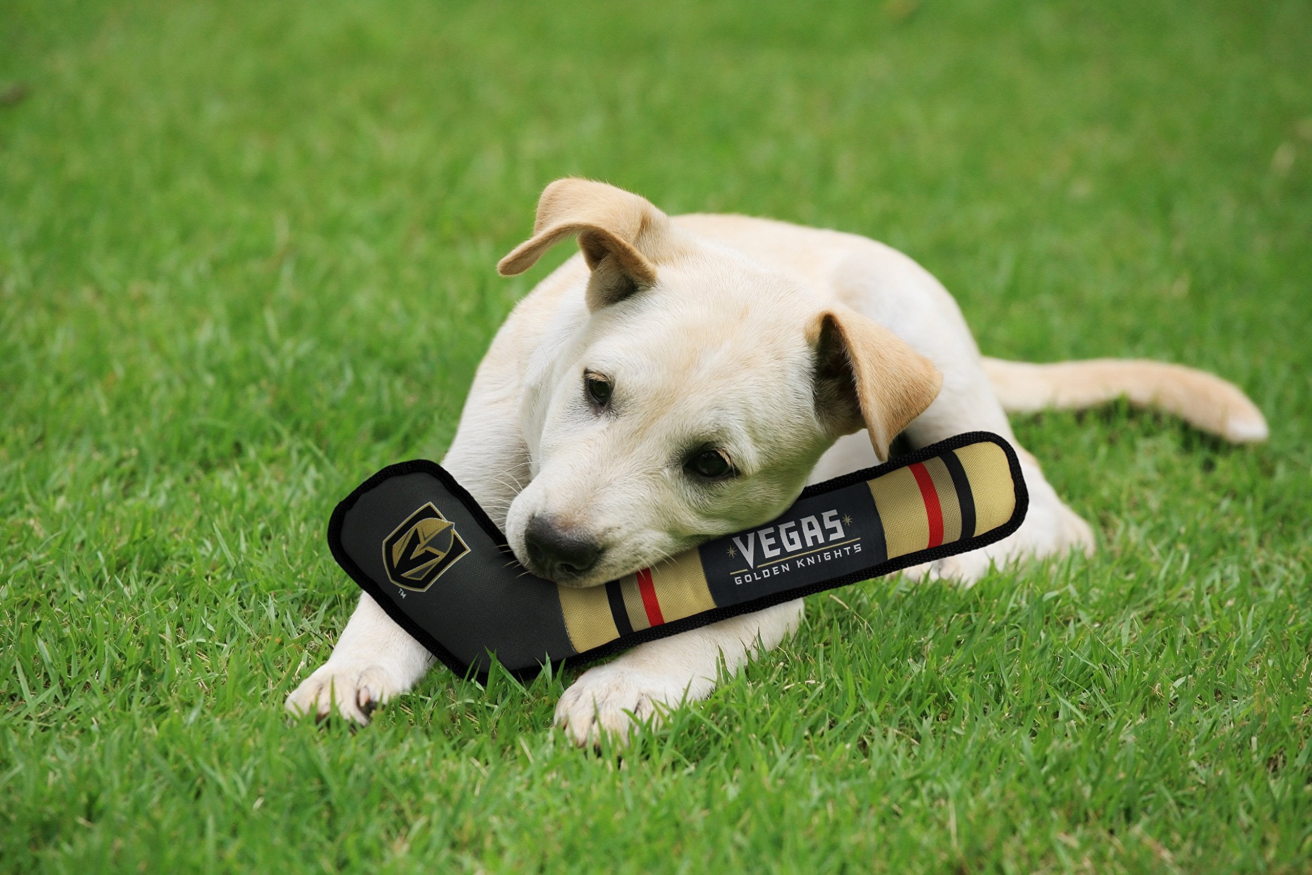 Pets First Nhl Las Vegas Golden Knights Stick Toy For Dogs & Cats. Play Hockey With Your Pet With This Licensed Dog Tough Toy Re