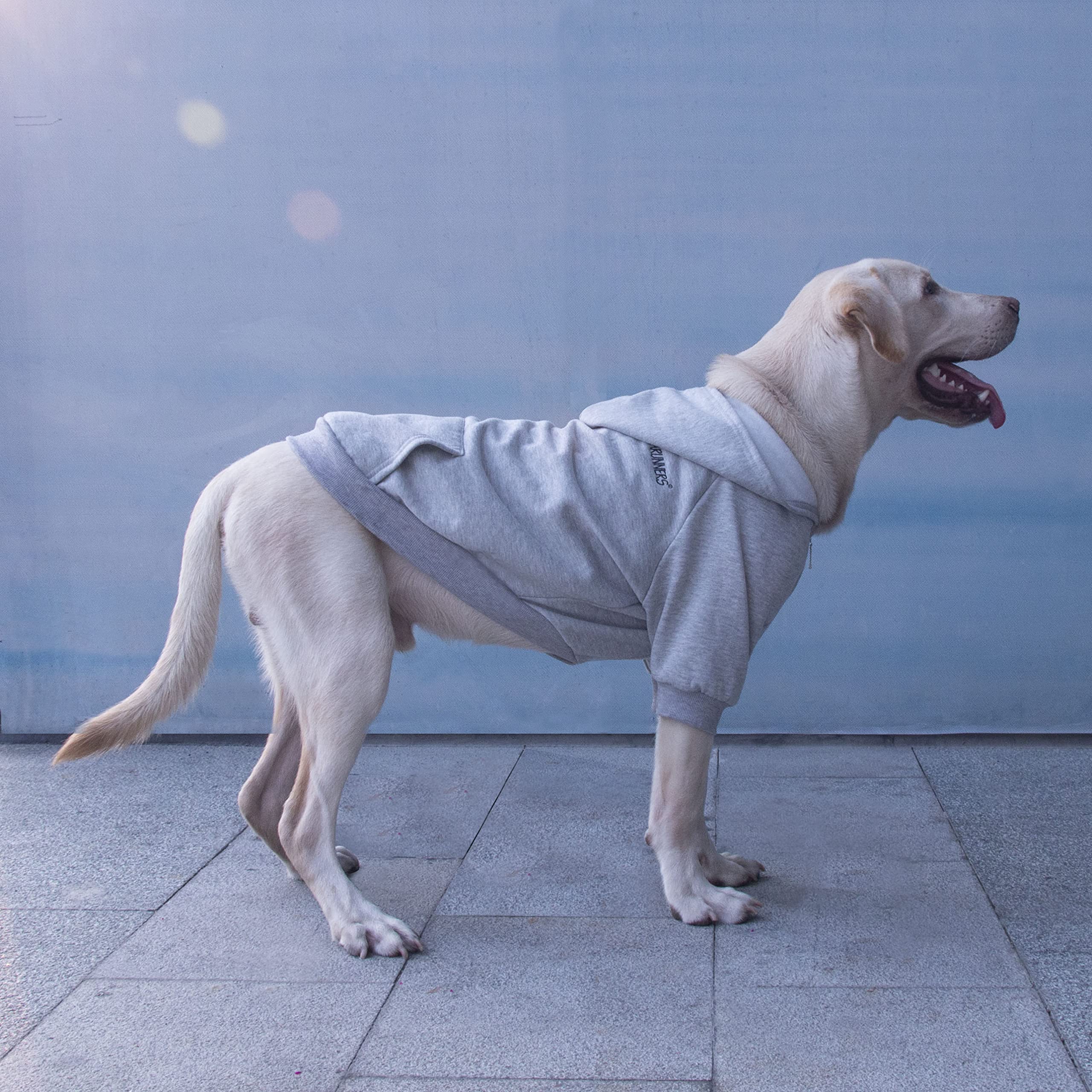 Arunners Extra Large Dog Clothes Hoodies Zip Up Sweaters For Big Dogs Labrador Border Collie Grey 4Xl