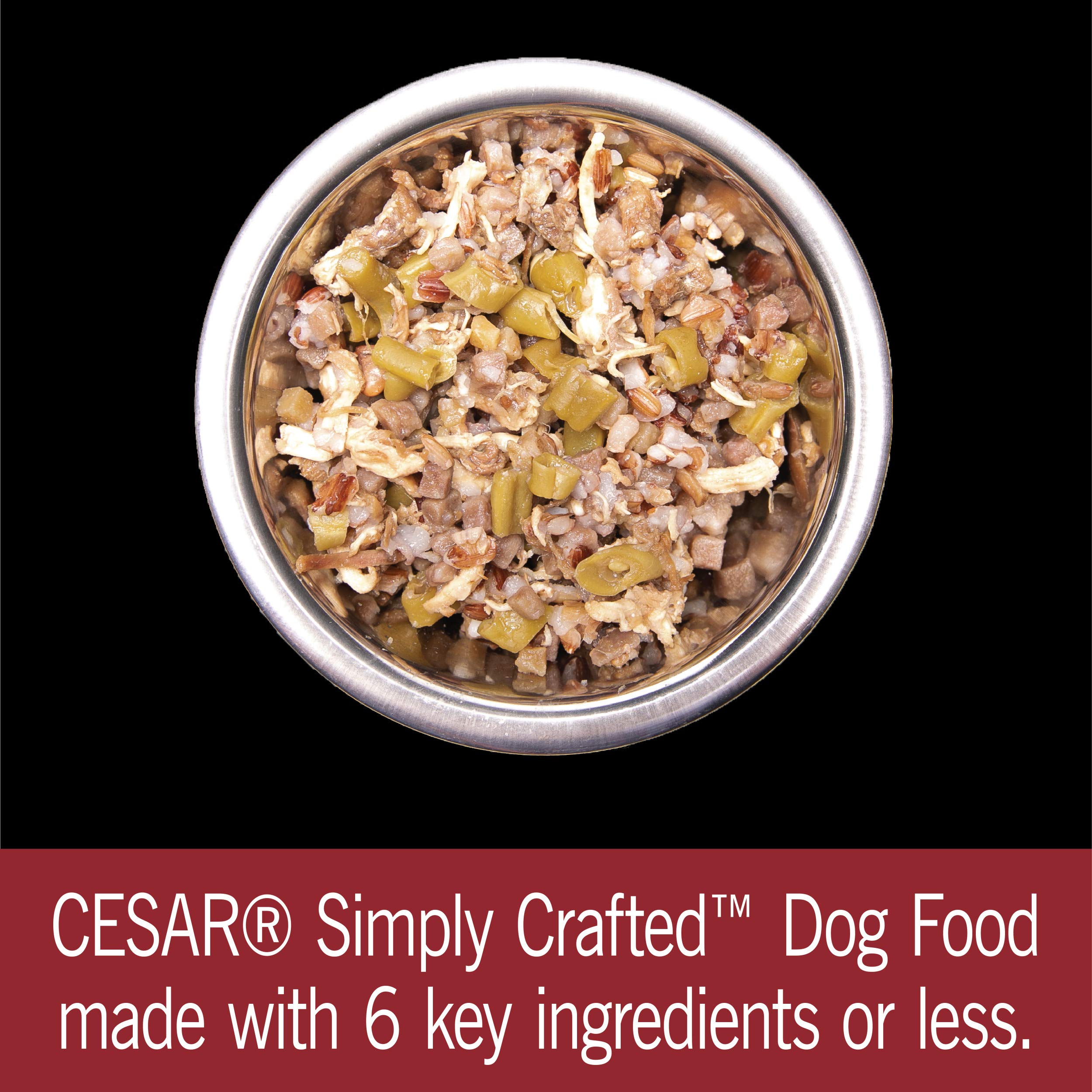 CESAR SIMPLY CRAFTED Adult Soft Wet Dog Food Meal Topper Beef, Chicken, Purple Potatoes, Green Beans & Red Rice, (10) 1.3 oz. Tu