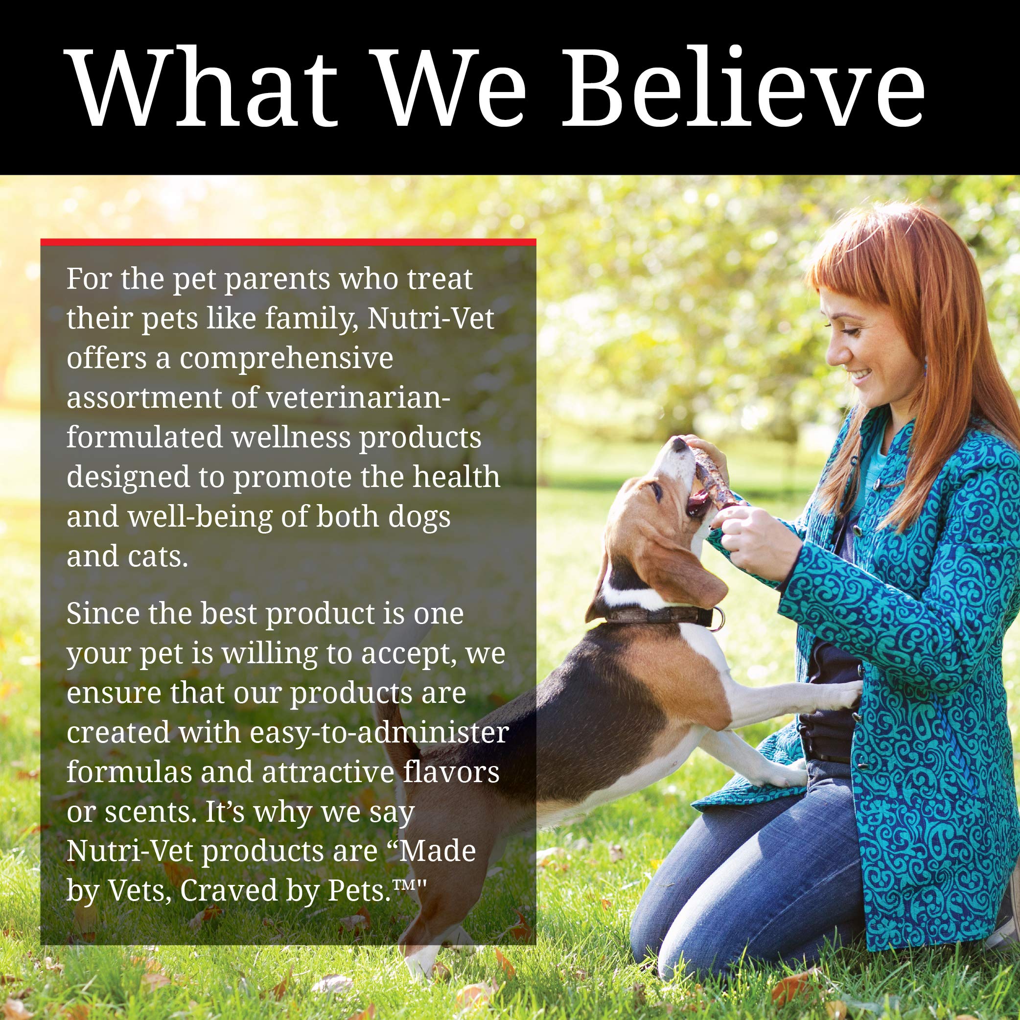 Nutri-Vet Bitter Bandage for Dogs and Cats | Help Prevent Chewing | 3 inches