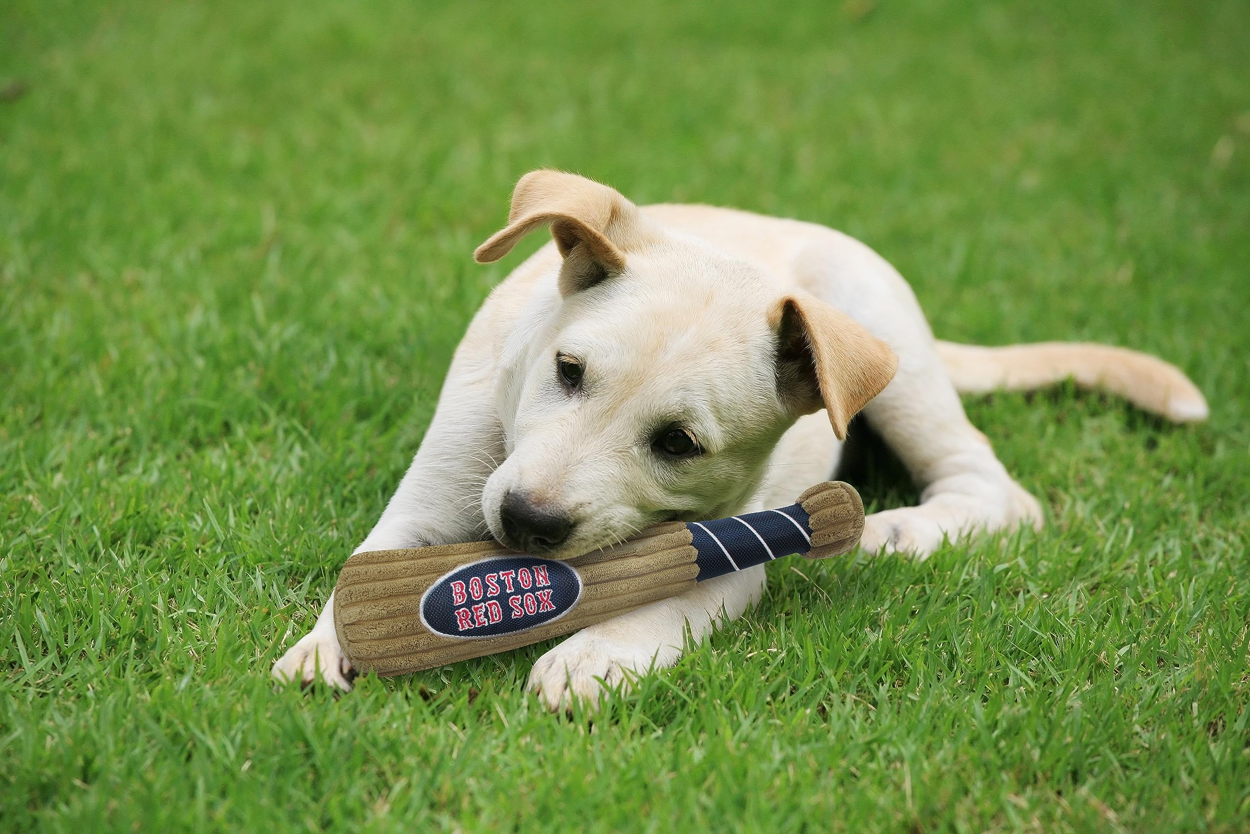 Mlb Boston Red Sox Baseball Bat Toy For Dogs & Cats. Soft Corduroy Plush Dog Toy With Inner Squeaker, Mlb Chew Toys For Dogs Or