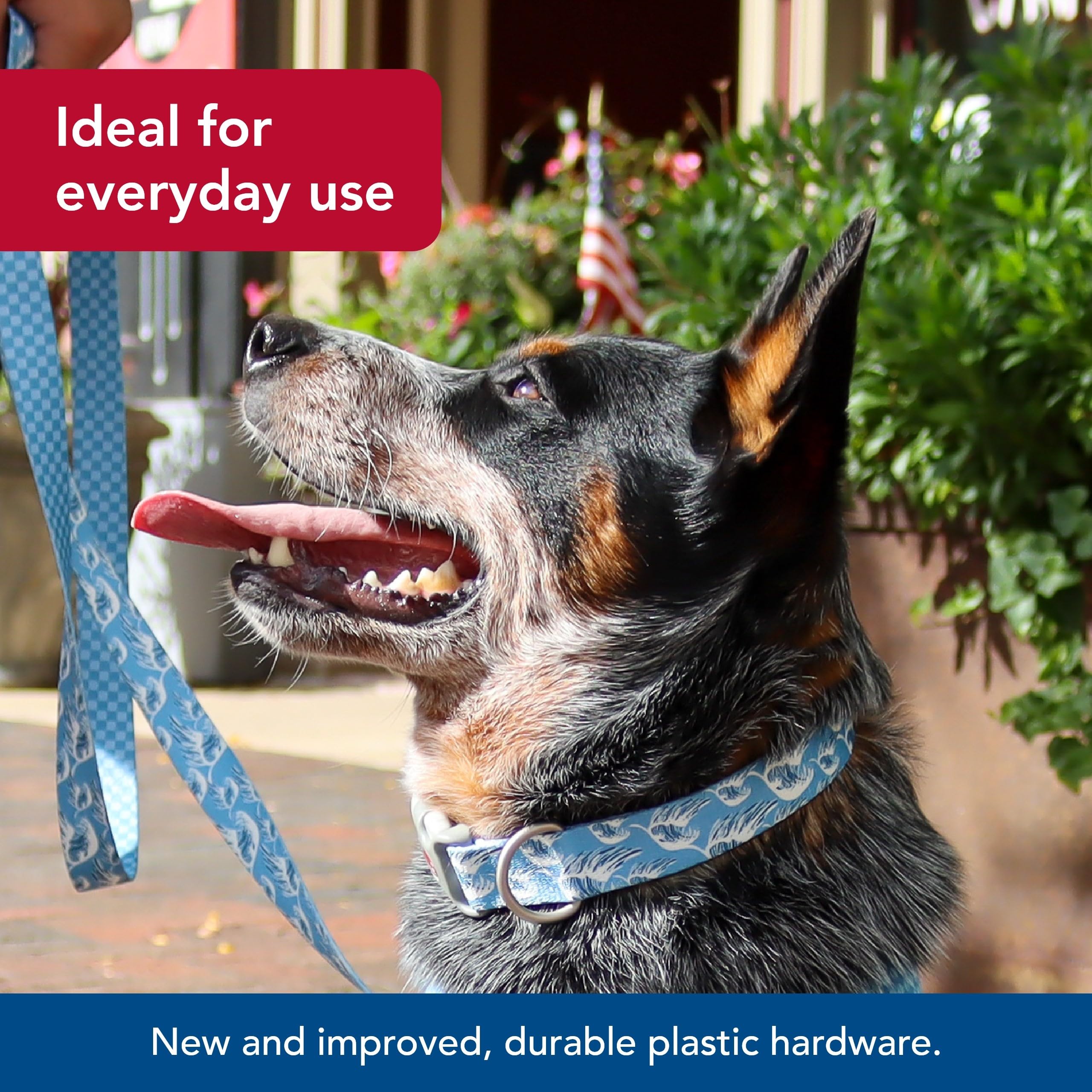 Coastal Pet Sublime Adjustable Dog Collar - Adjustable Plastic Buckle - Vibrant & Colorful Dog Collar With Fade-Resistant Patterns - Blue Waves With Blue Checkers, Medium - 1' X 12'-18'