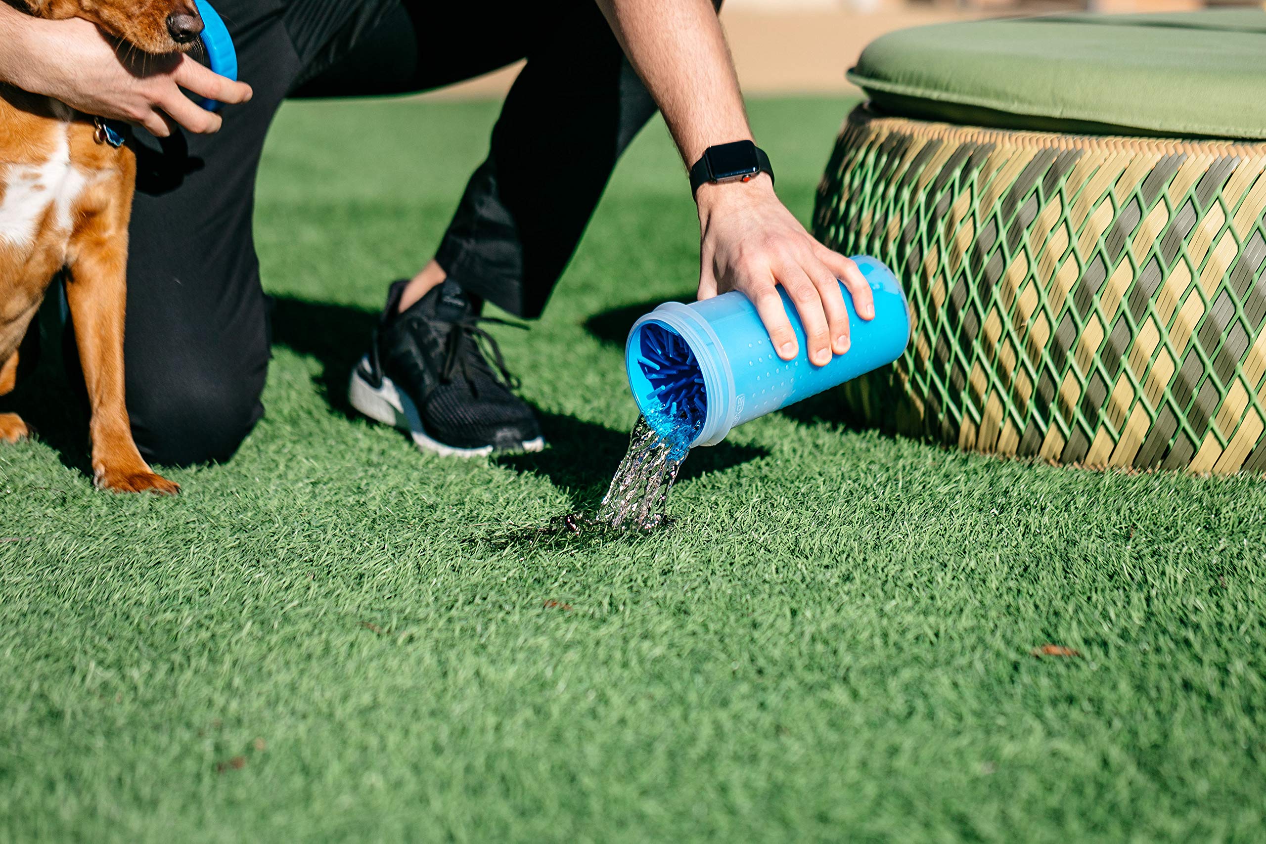 Dexas Mudbuster Portable Dog Paw Washer/Paw Cleaner, Large, Pro Blue