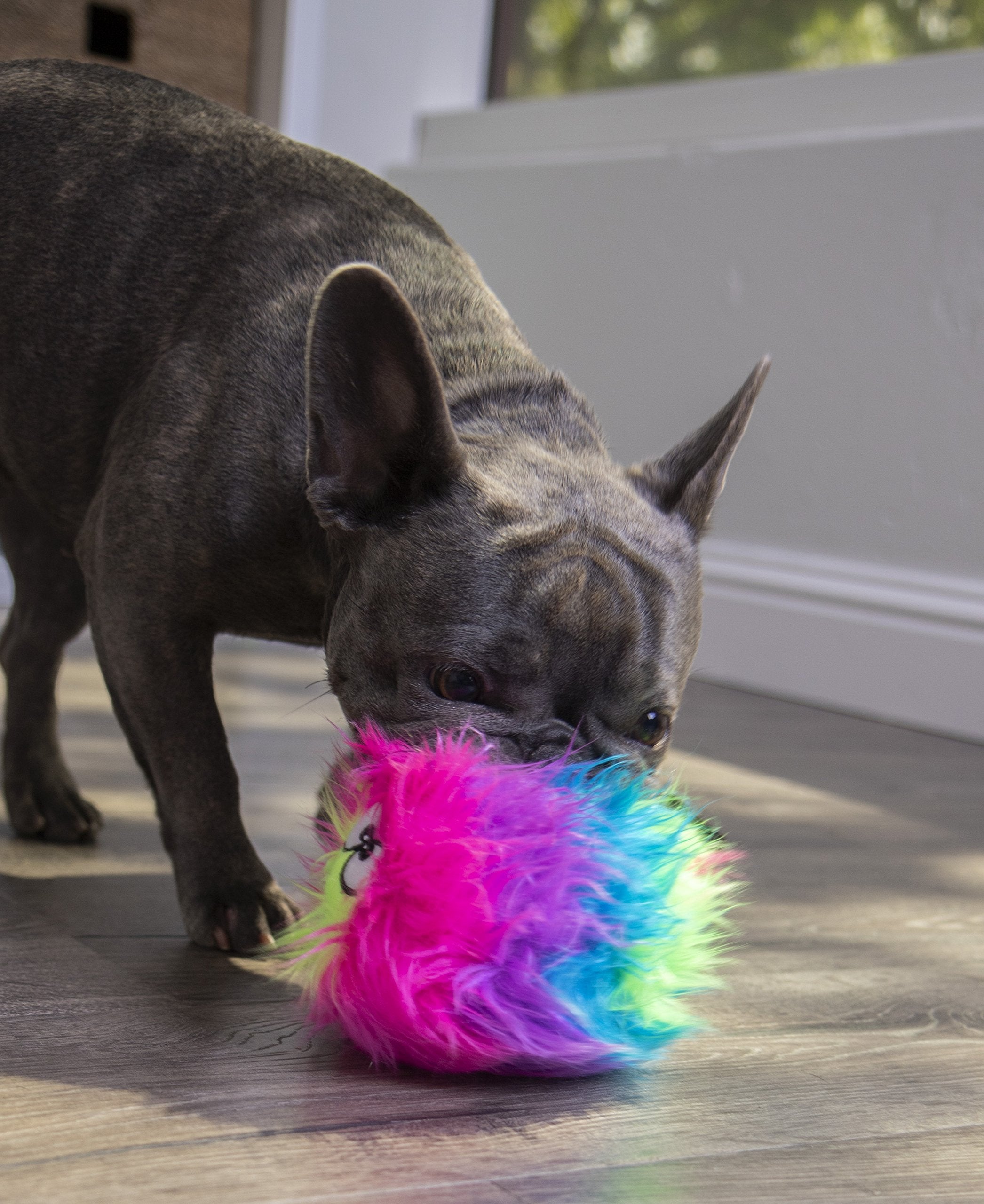 Godog Furballz Squeaky Plush Ball Dog Toy, Chew Guard Technology - Rainbow, Small