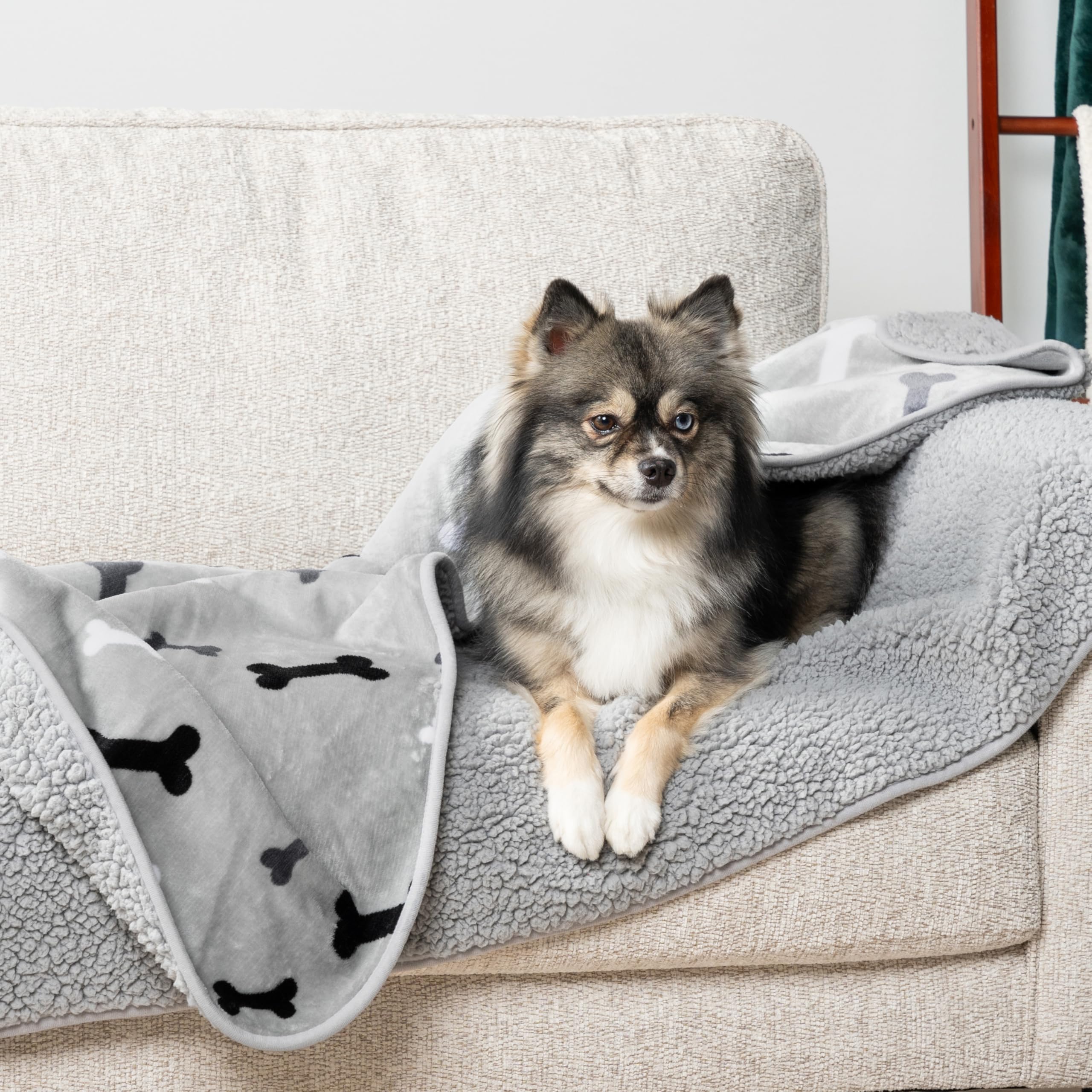 Petami Waterproof Dog Blanket For Medium Large Dogs, Pee Proof Pet Blanket For Bed Couch, Reversible Water Proof Blanket For Puppy Indoor Cat, Soft Dog Pee Crate Cover Washable, 60X80 Bone Gray