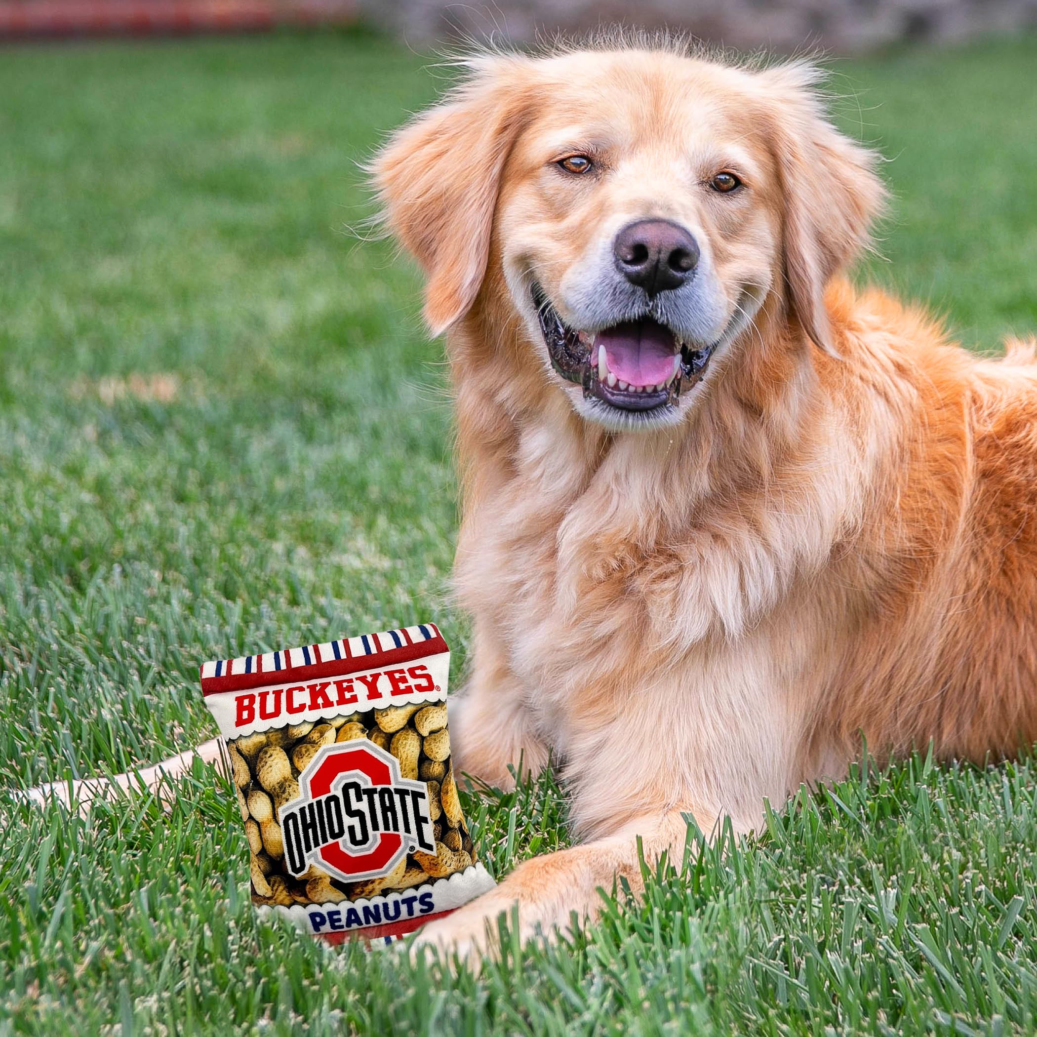 Pets First Ncaa Ohio State Buckeyes Crinkle Fine Plush Dog & Cat Squeak Toy- Cutest Stadium Peanuts Snack Toy For Dogs & Cats Wi
