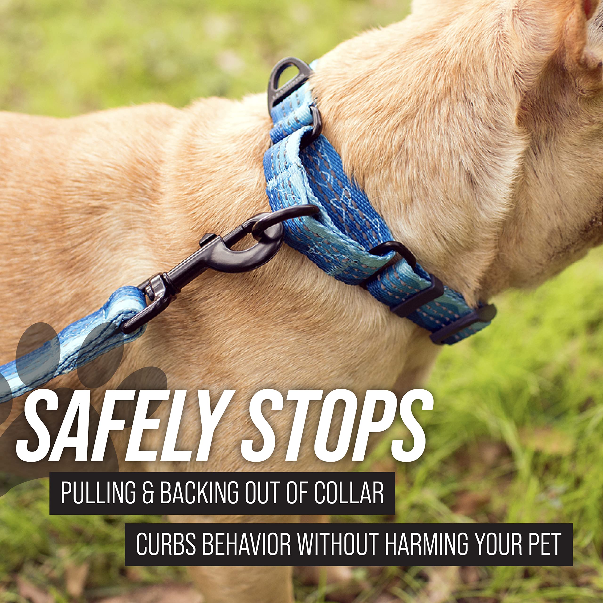 Leash Boss Martingale Collar For Dogs | Reflective Nylon Dog Collar For Large Dogs, Medium And Small Dogs | No Pull Pet Training Collar | Quick Release Buckle, Adjustable Pet Collar