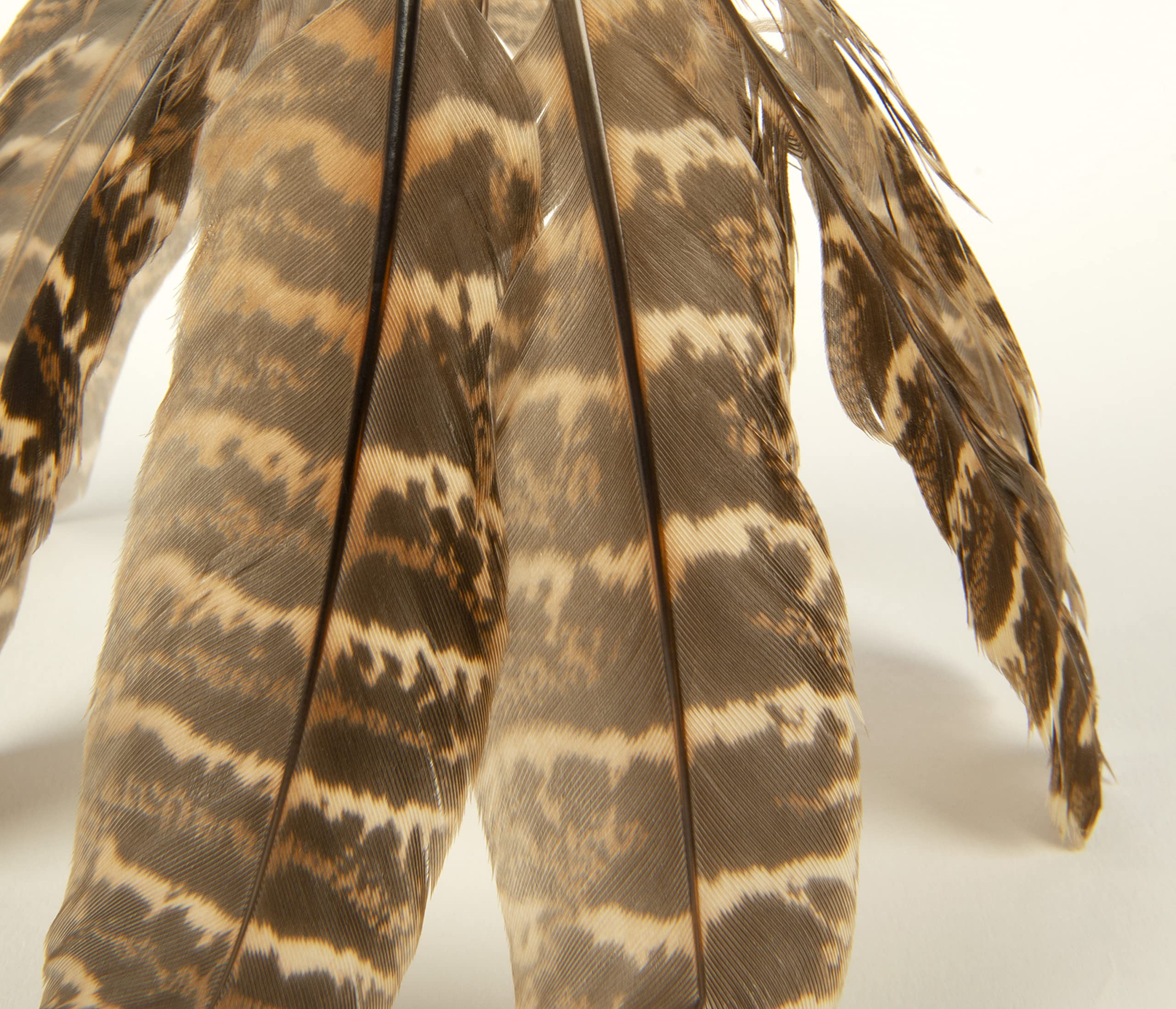 Smartykat Toss-A-Fox Feather Toss & Chase Cat Toy, Randomly Selected Color - Brown Or White, One Size