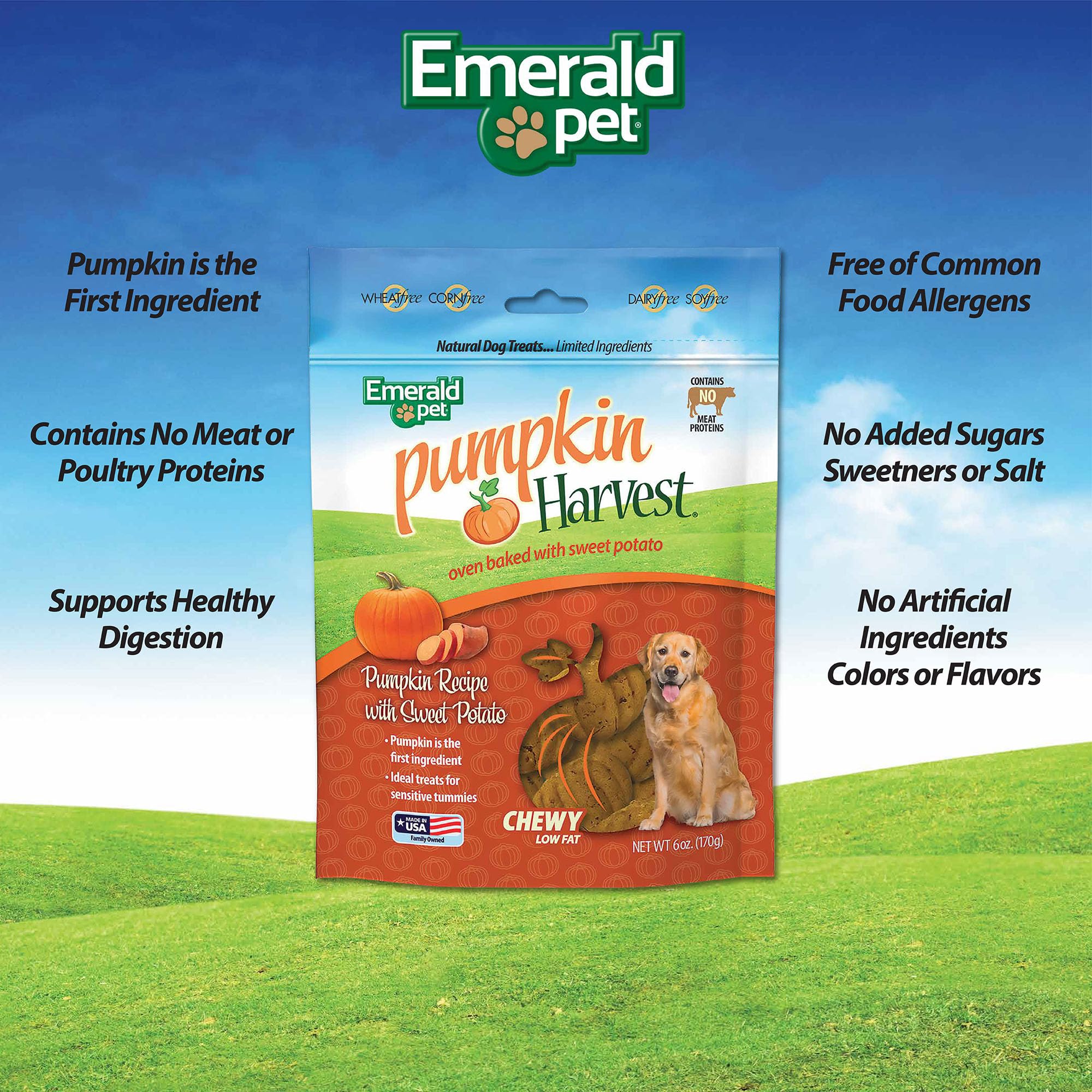 Emerald Pet Pumpkin Harvest Pumpkin Dog Treats - Low-Fat Chewy Natural Dog Treats with Pumpkin for Digestive Health - Meat Free,