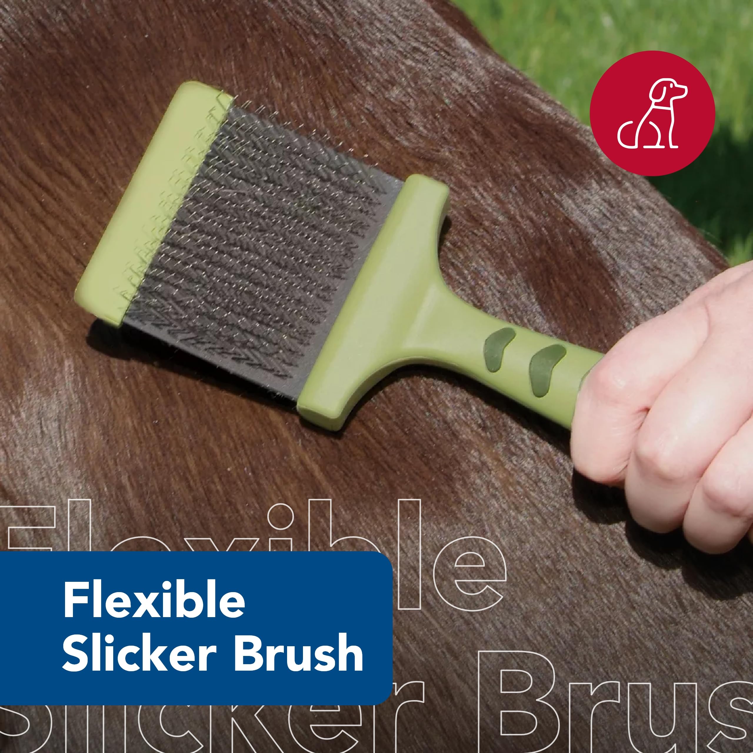 Coastal Pet Safari Dog Flexible Slicker Brush - Dog Brush For Shedding - Undercoat Rake And Grooming Brush For Small And Medium Dogs - Small