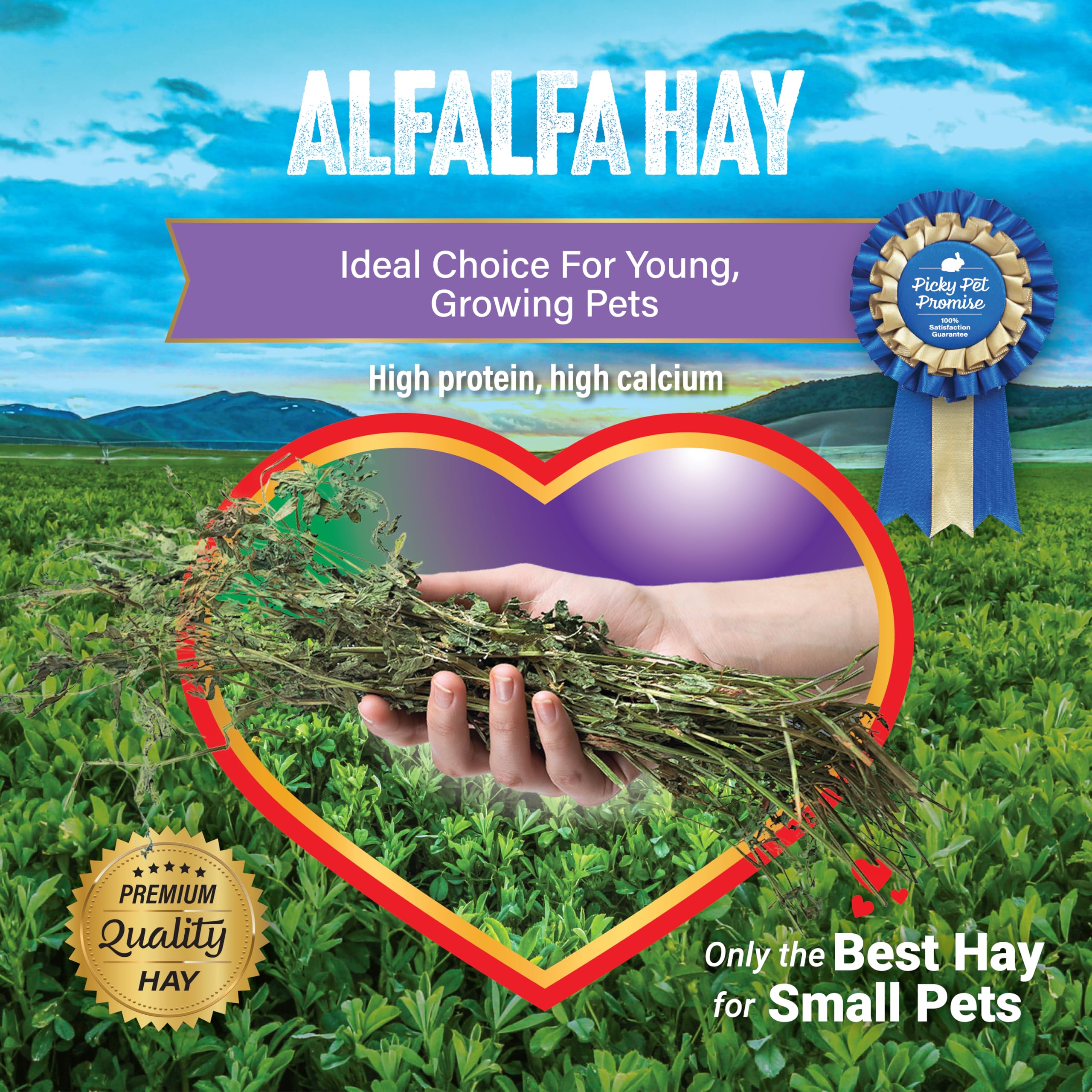 Small Pet Select Alfalfa Hay Pet Food for Young Rabbits, Guinea Pigs, Chinchillas, Tortoises and Other Small Animals, Easy to St