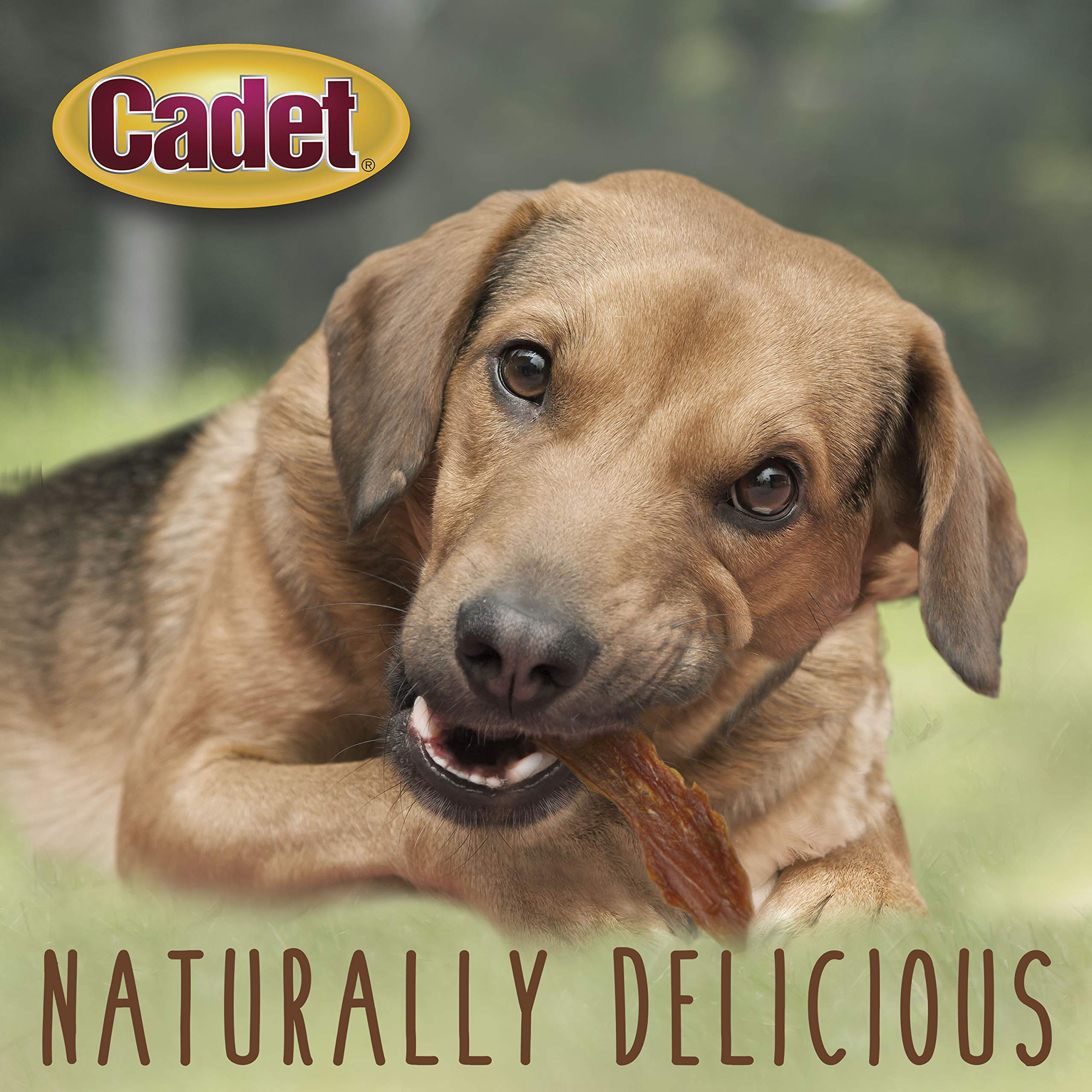 Cadet Duck Breast Jerky Dog Treats, High-Protein, 14 oz, Healthy Training Treats for Small & Large Dogs