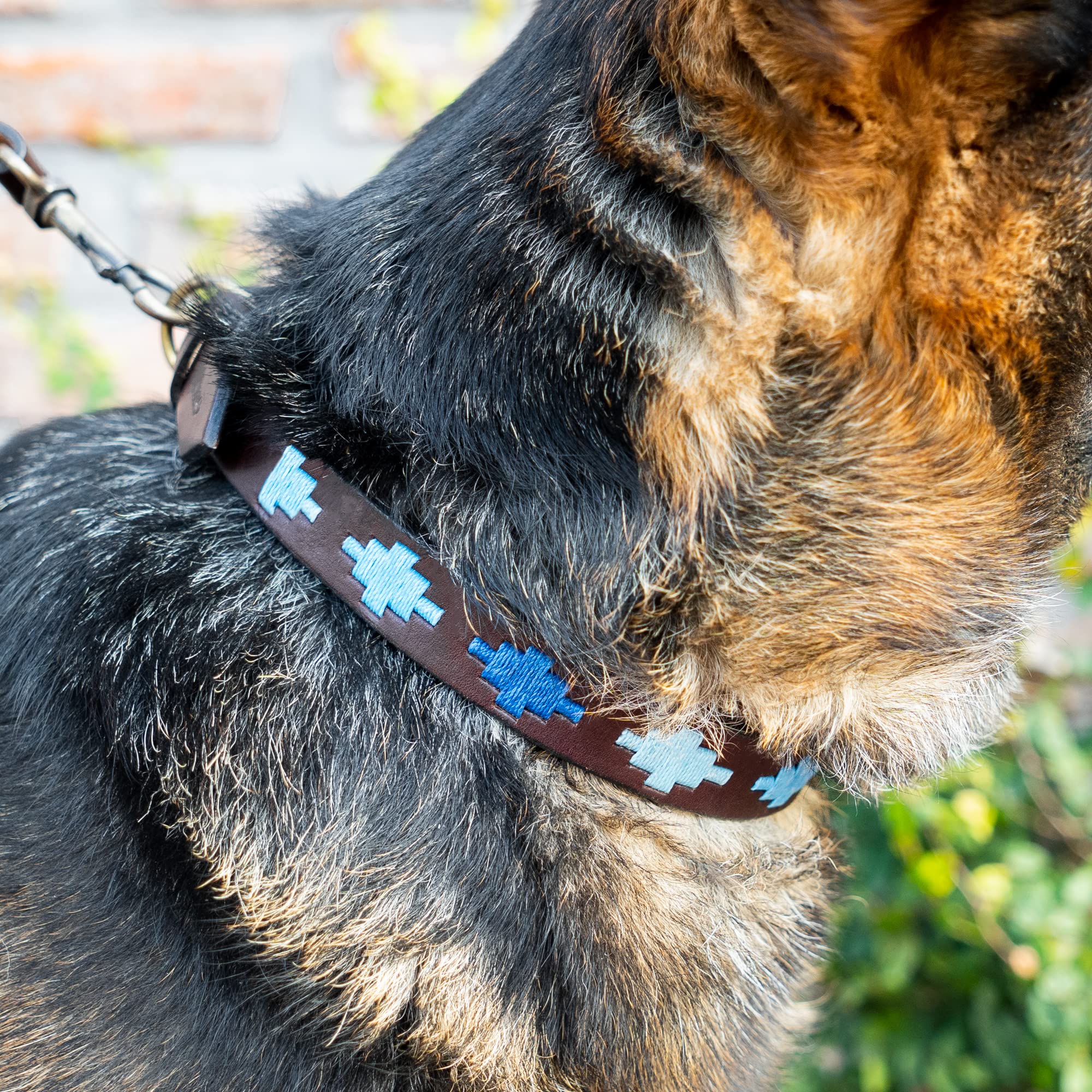 Gaucholife Polo Dog Collar Leather Hand-Stitched (X-Large, Ombu)