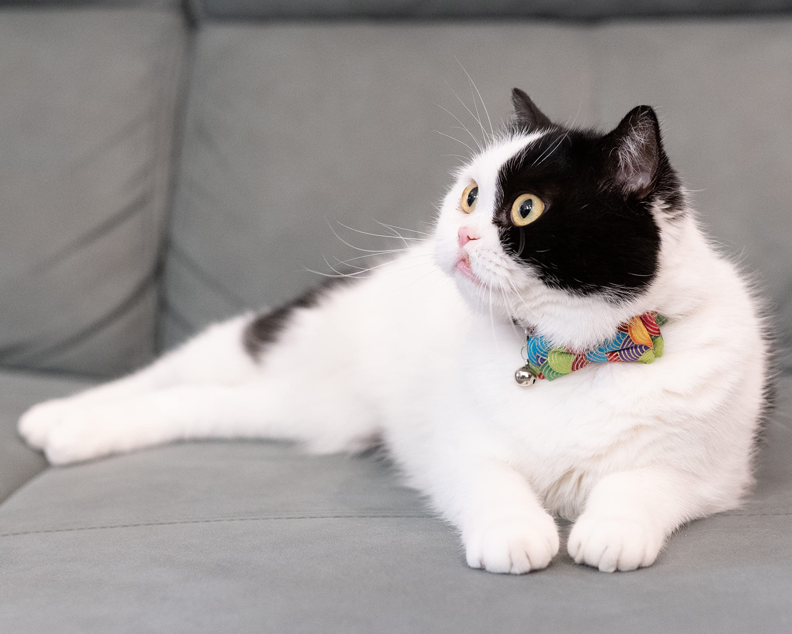 Gyapet Collar For Cat Pet Breakaway With Bell Bowtie Detachable Bow Adjustable Safety Kitten Puppy Girl Boy 2Pcs Kimono-Green &