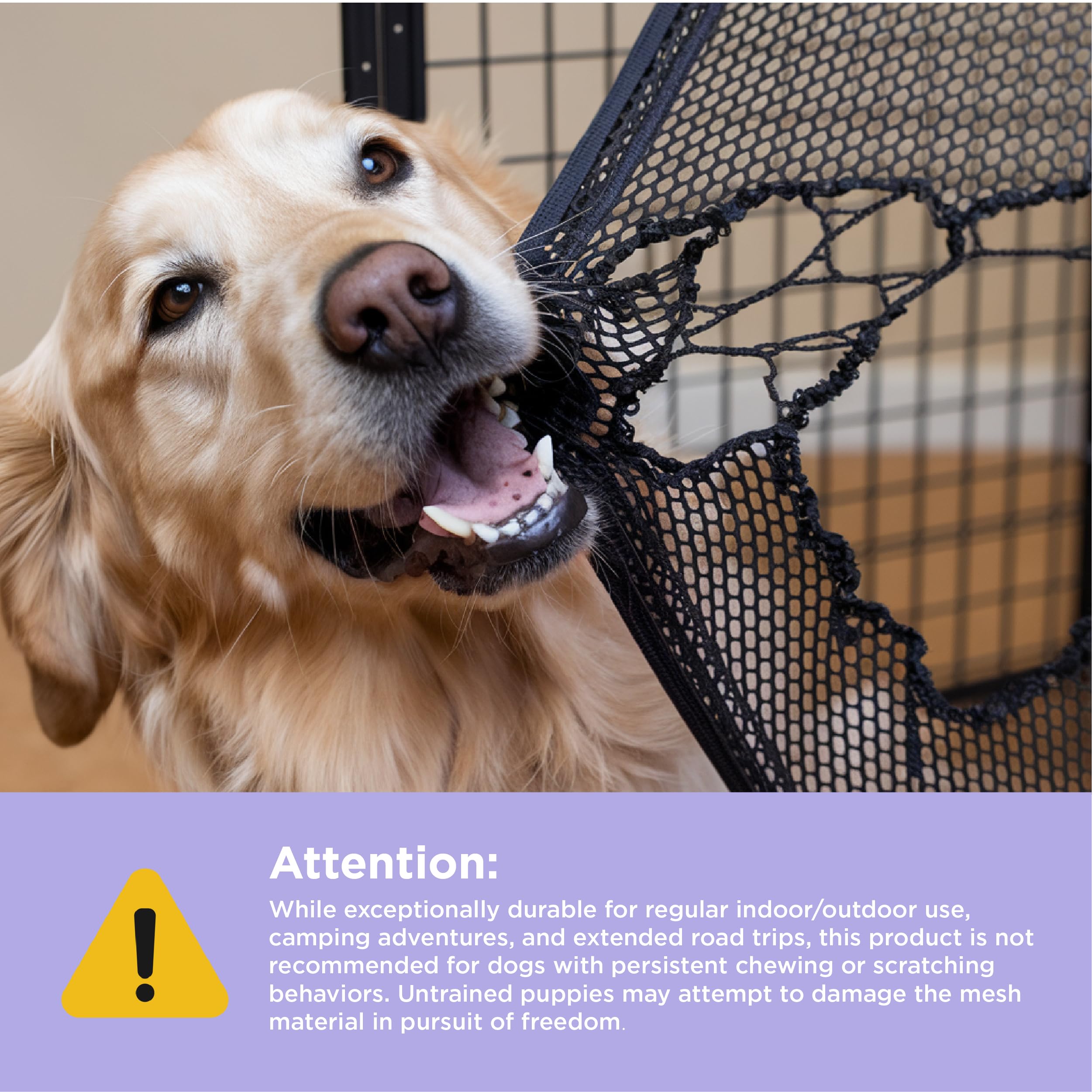 Lesure Collapsible Dog Crate - Portable Travel Kennel For Extra Large Dog, 4-Door Pet Crate With Durable Mesh Windows, Indoor &