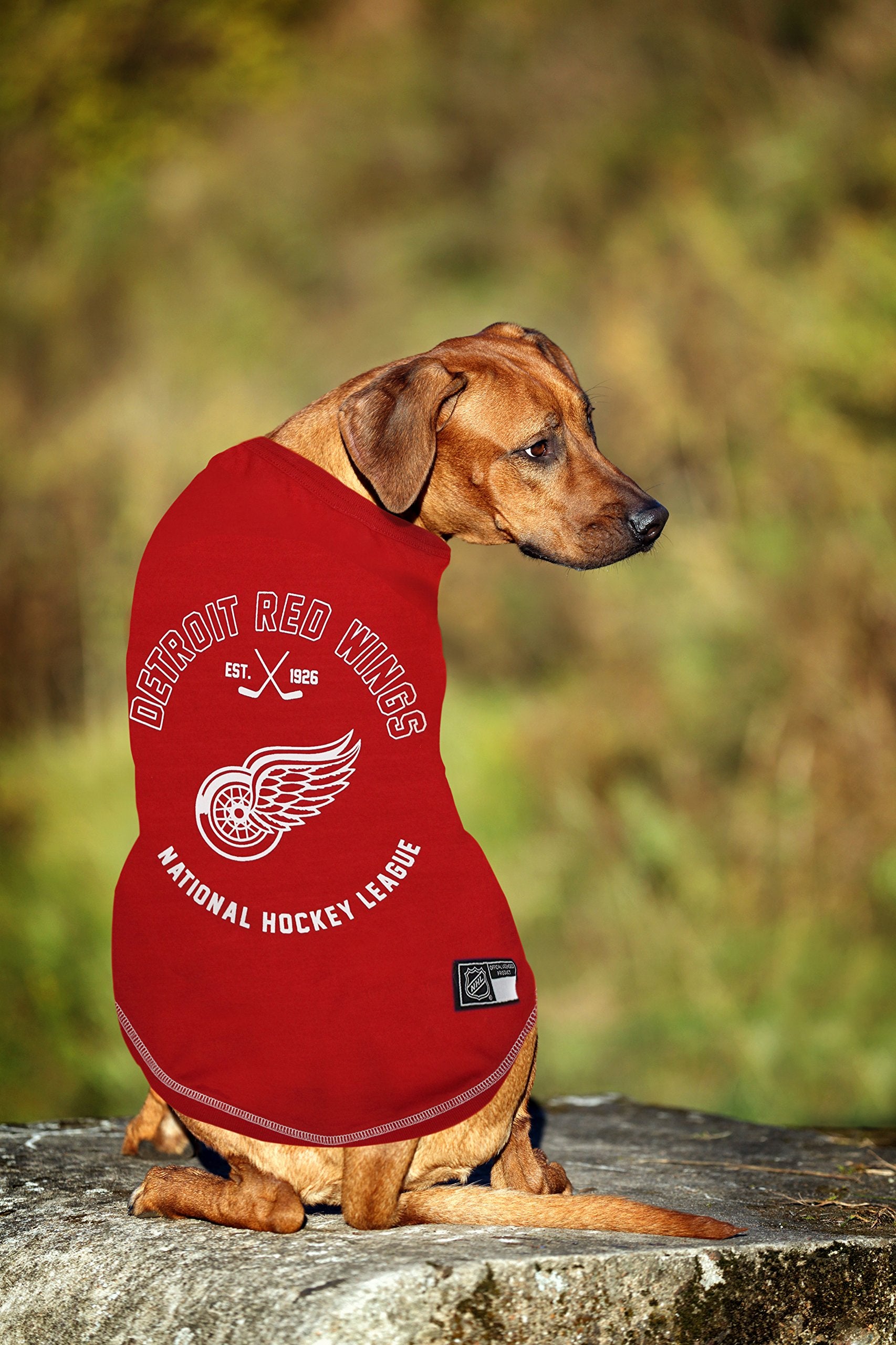 NHL Detroit Red Wings Tee Shirt for Dogs & Cats, Medium. - Are You A Hockey Fan? Let Your Pet Be An NHL Fan Too!