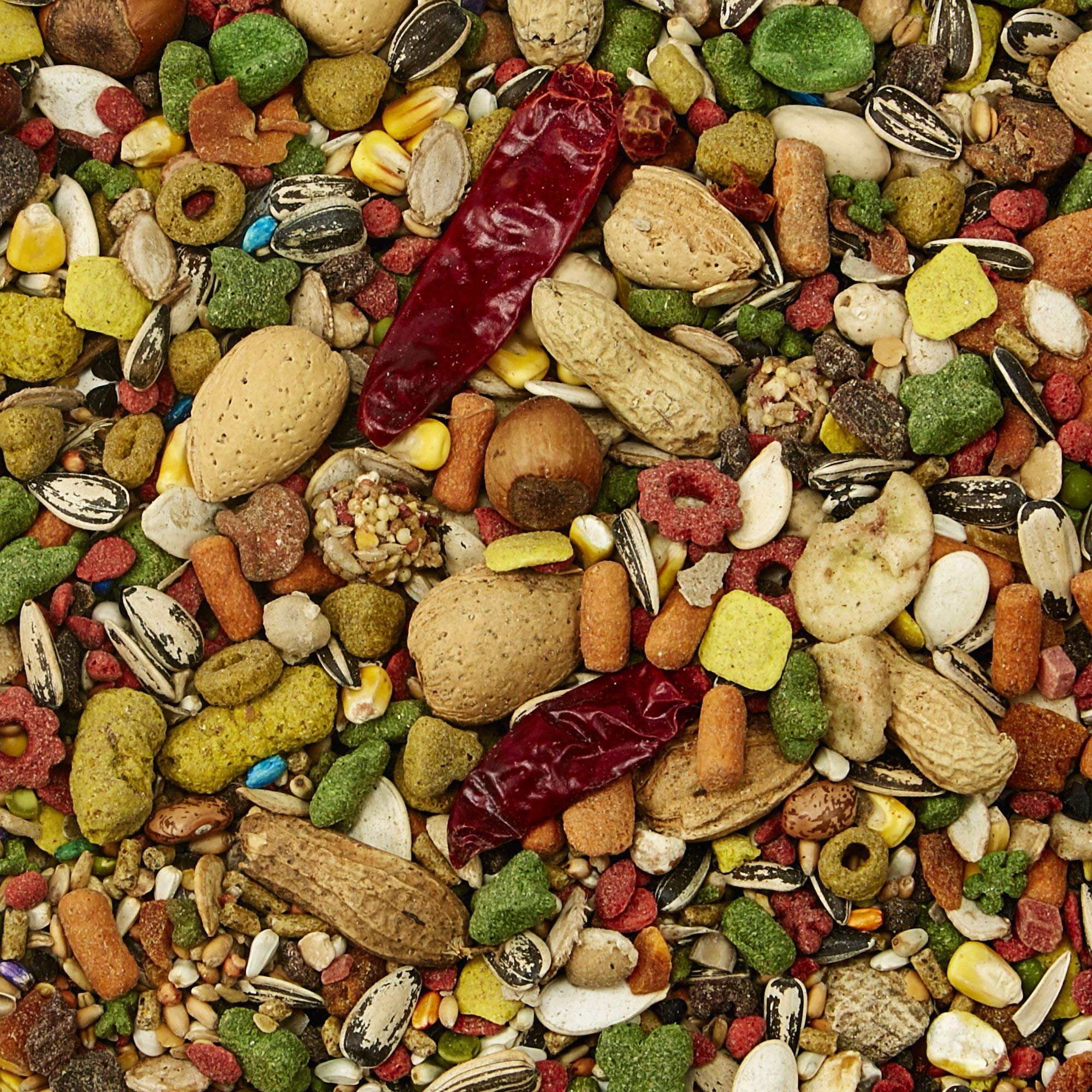 Kaytee Fiesta Parrot Food 2.5 lb
