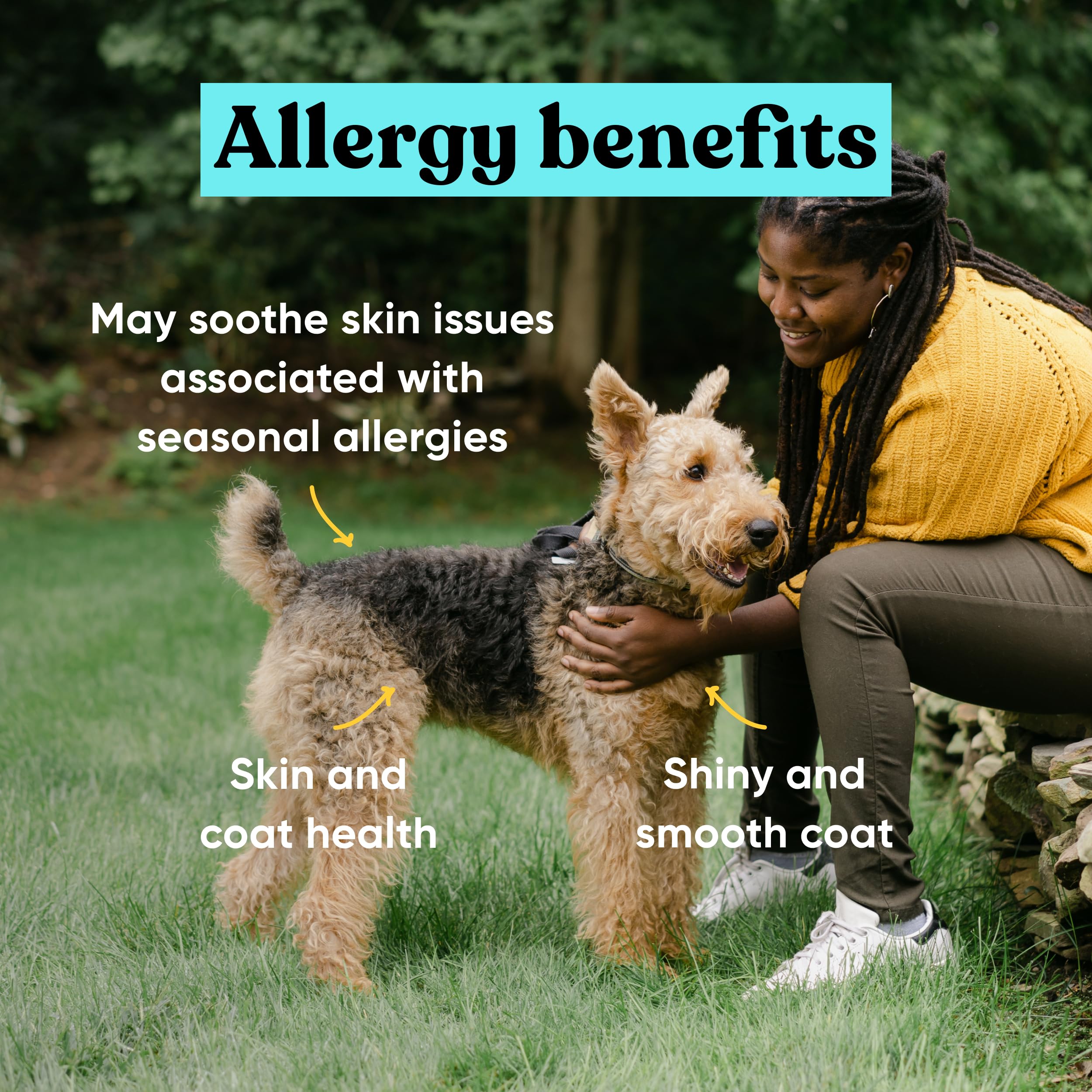Embark Allergy Supplement for Dogs - Dog Allergy Chews, Support for Itchy Skin & Seasonal Skin Irritation - Vet-Formulated with