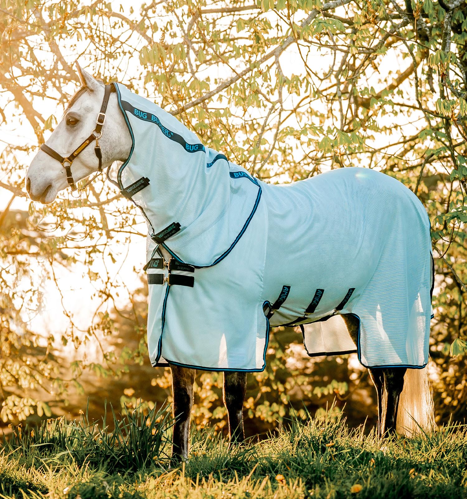 Amigo Bug Buster Fly Sheet