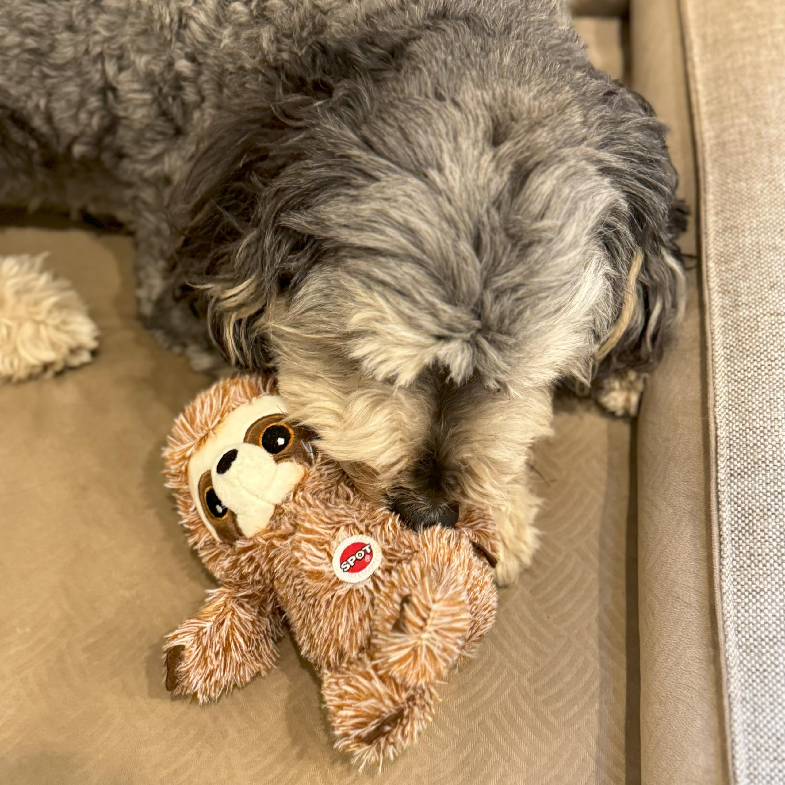 Spot Fun Sloth Dog Toy - Soft, Stuffed, Squeaky, Plush Fabric Toy For Mini And Small Dogs And Puppies, Enrichment For Light Chewers And Cuddlers, 7In