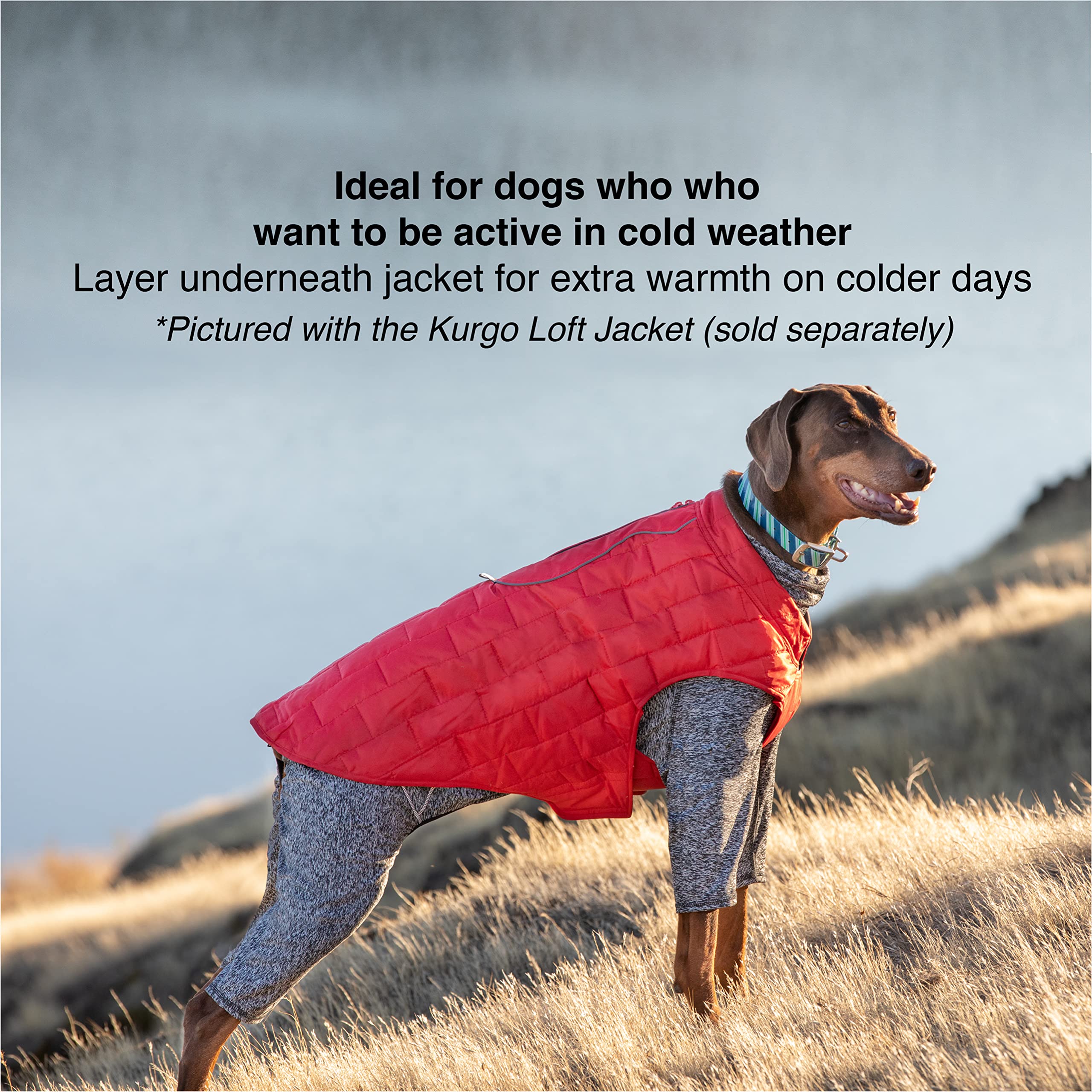 Kurgo Stowe Base Layer For Dogs, Dog Onesie Body Warmer, Bodysuit For Dogs, Recovery Suit, Reduce Anxiety, Contains Shedding, Leash Opening, Reflective, Heather Black (X-Small)